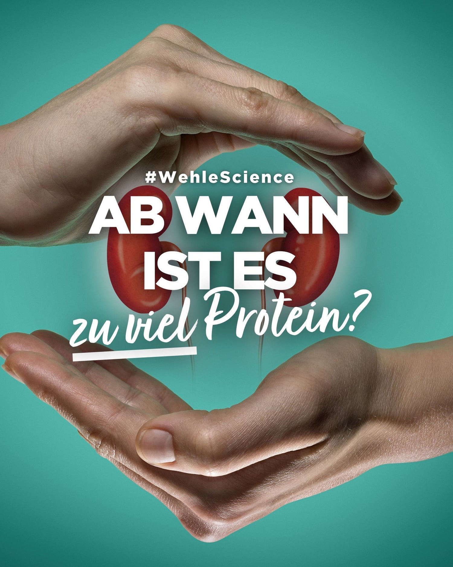 Ist Protein schädlich für die Nieren? Ein umfassender Blick auf die Fakten