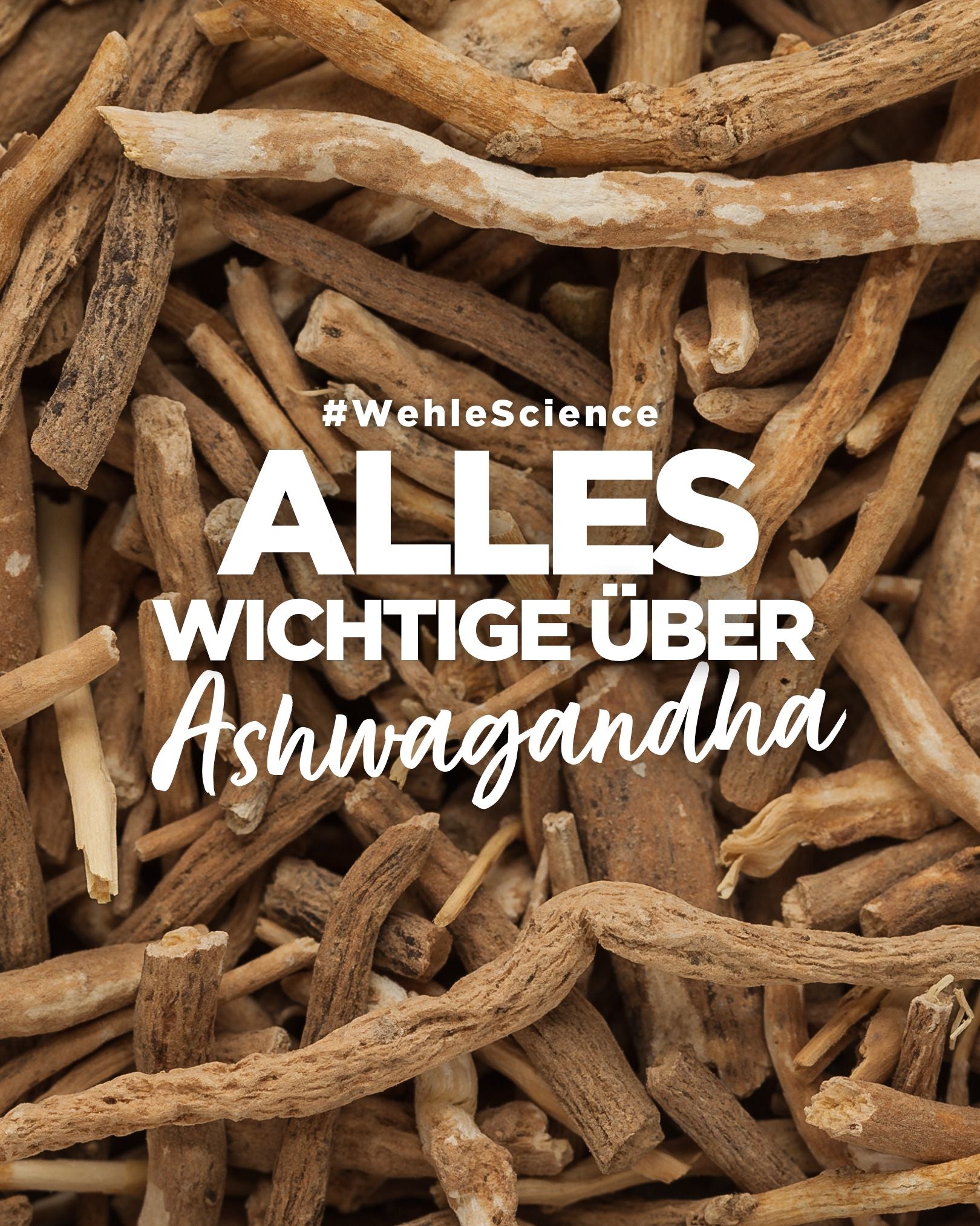 Ashwagandha: Das uralte Superkraut für moderne Herausforderungen