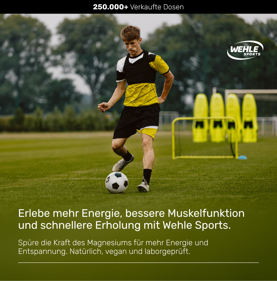 Magnesium 400mg Kapseln hochdosiert 667mg je Kapsel - 365 Kapseln