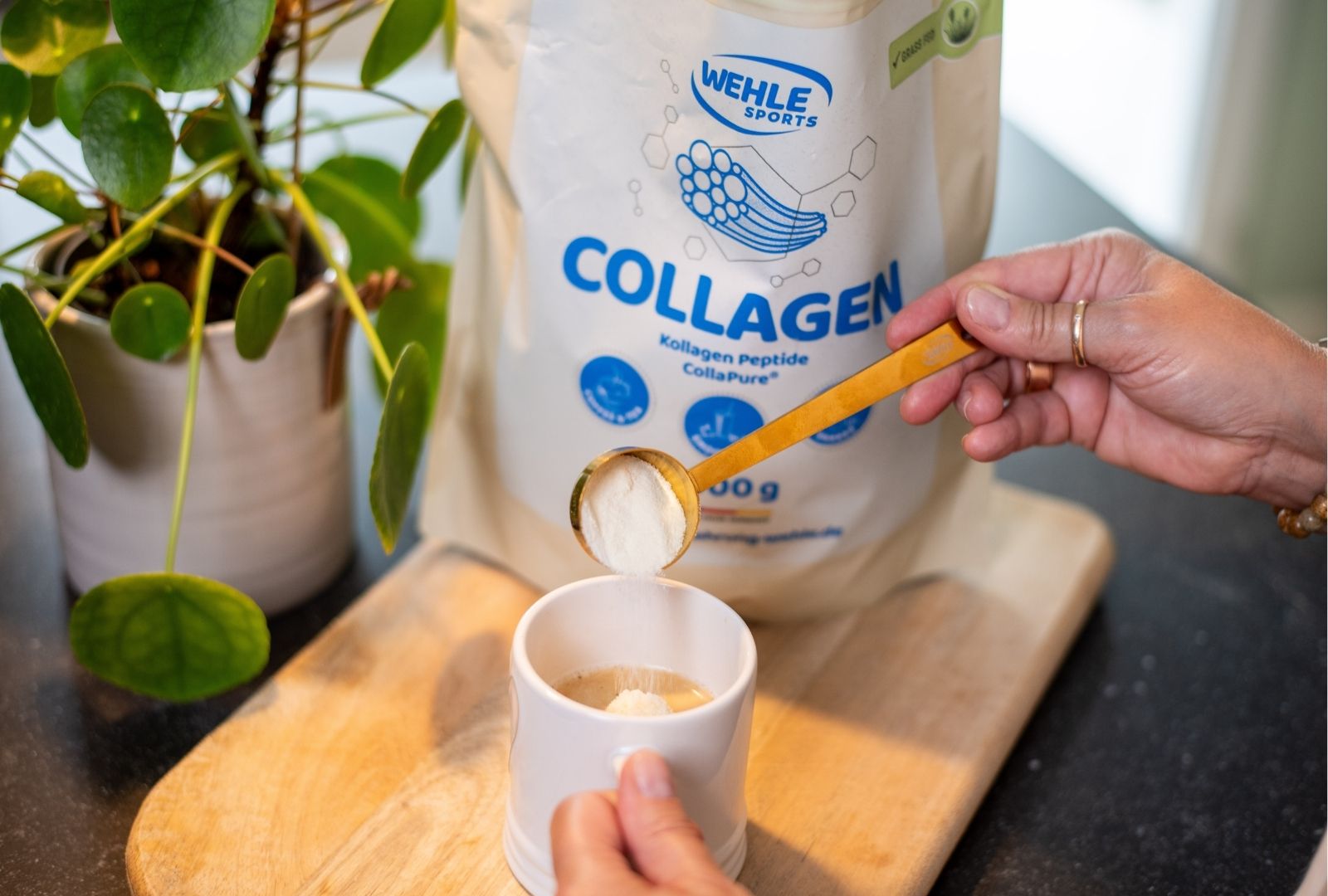 Kollagen Pulver – Wehle Collagen Matrix 360° mit Kollagen Typ I, II & III