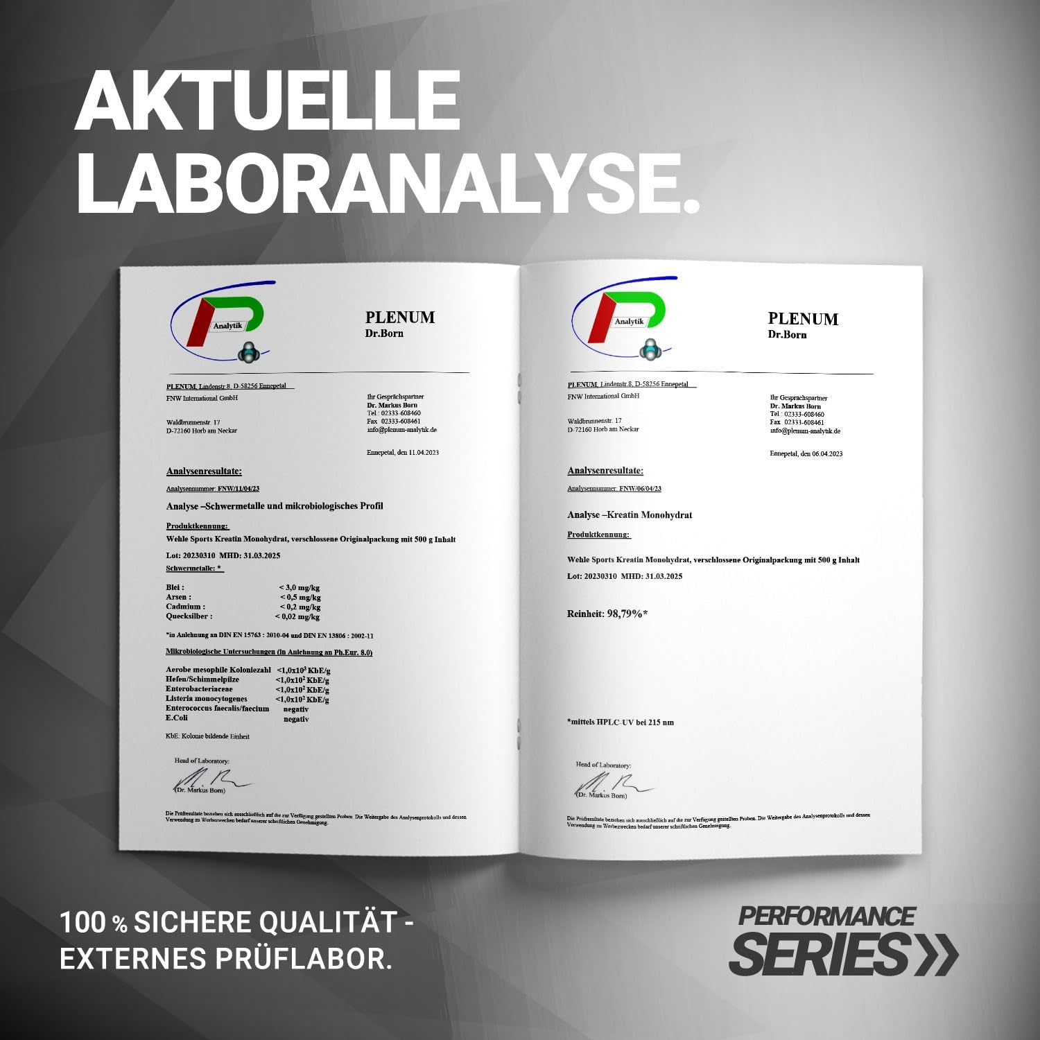 Wehle Sports Creatine Monohydrat Giga Caps - 300 Kreatin Kapseln