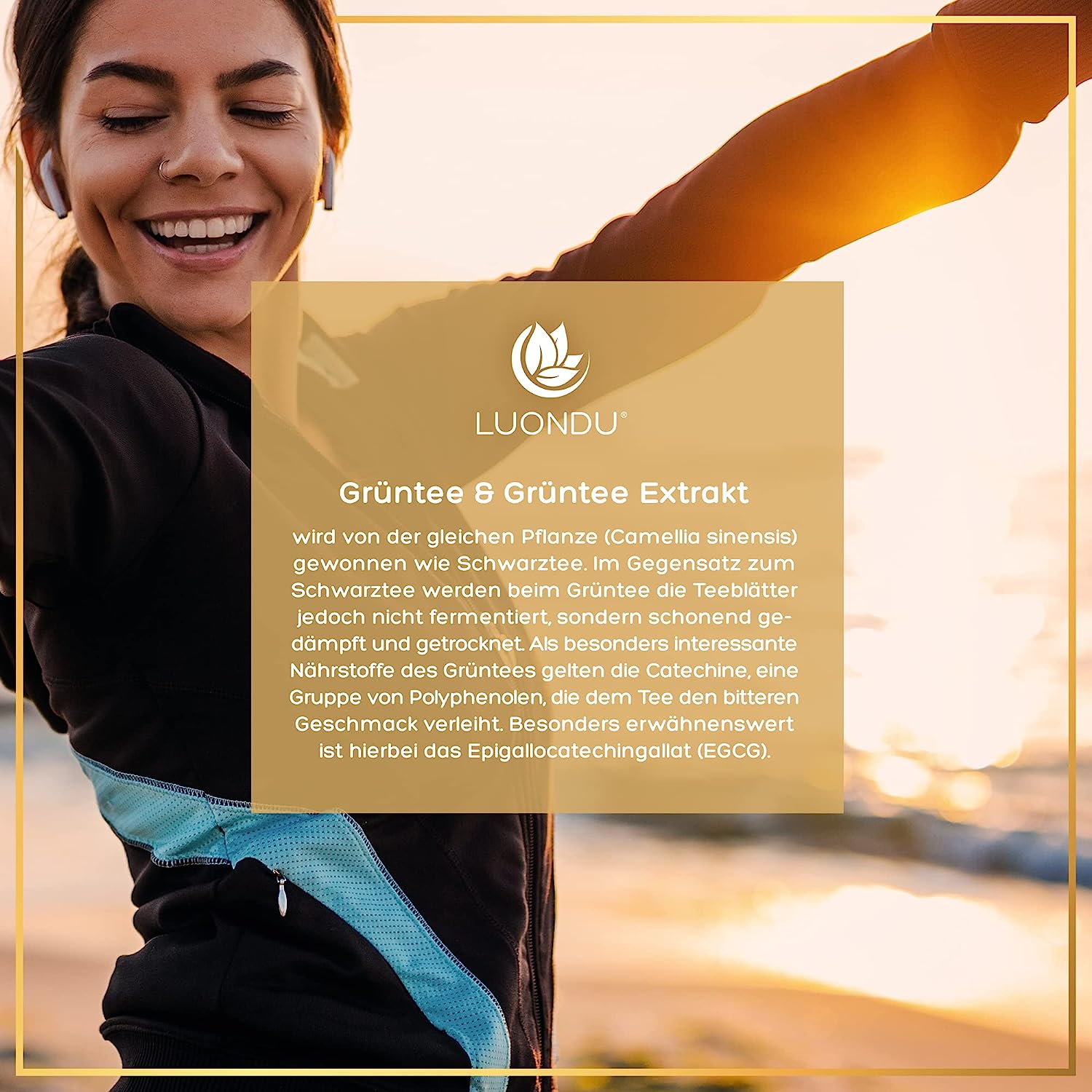 Luondu Grüntee Extrakt Green Tea Kapseln