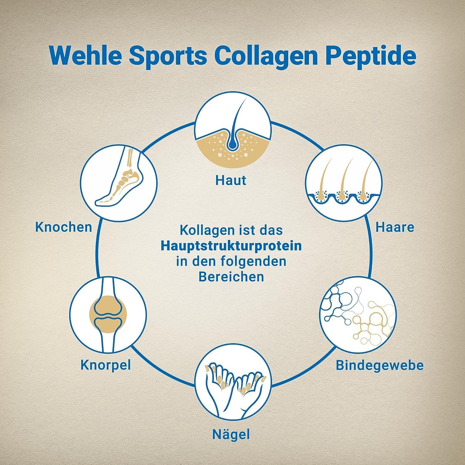 Wehle Sports Collagen Peptide - 315 Kollagen Kapseln