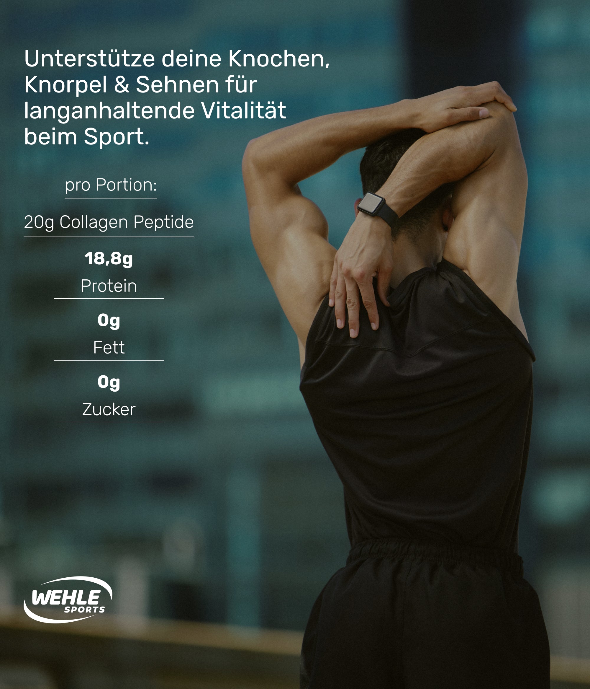 Wehle Sports Collagen Pulver Kollagen Hydrolysat Testsieger - Laborgeprüft