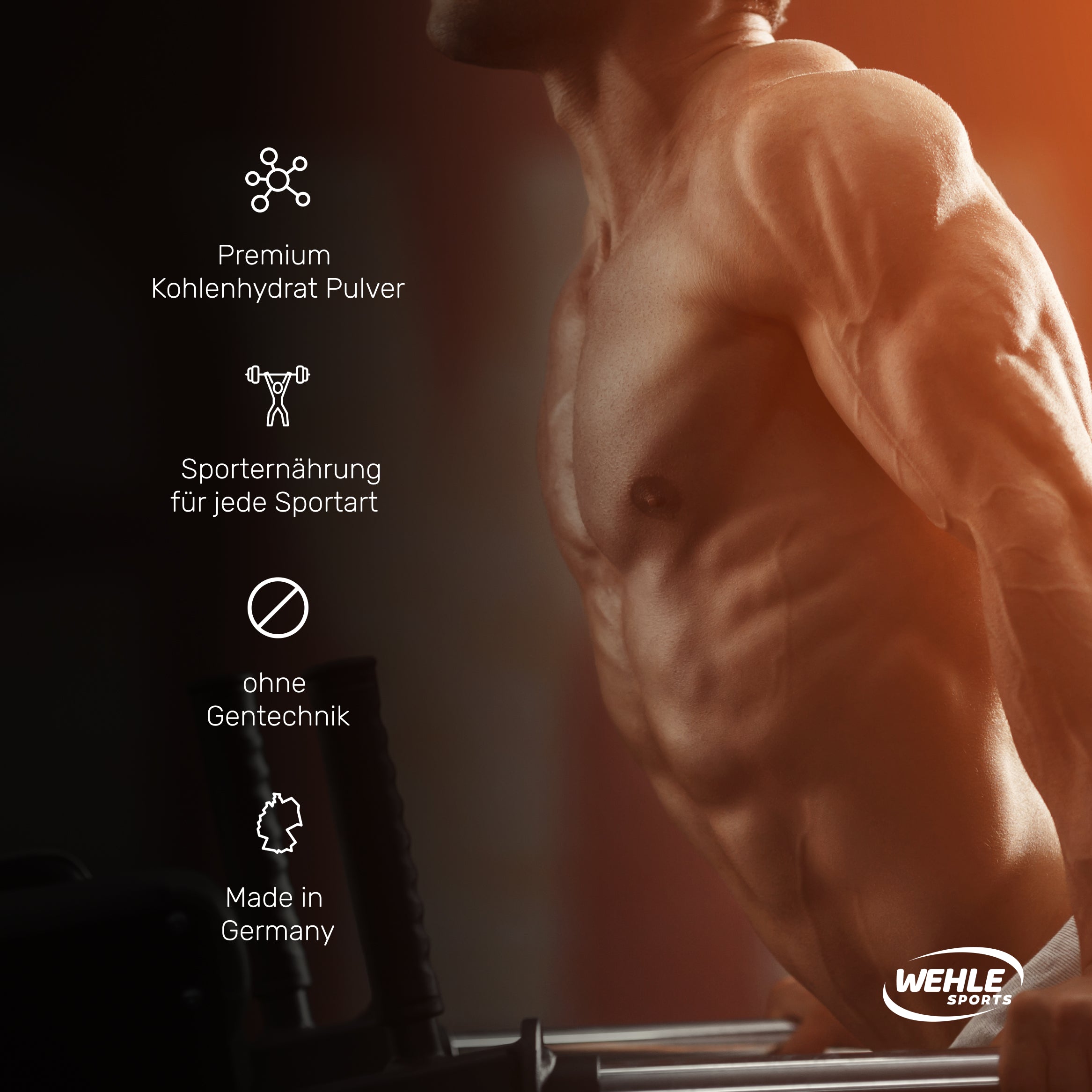 Wehle Cyclic Dextrin Kohlenhydrat Cluster Dextrin 1000g