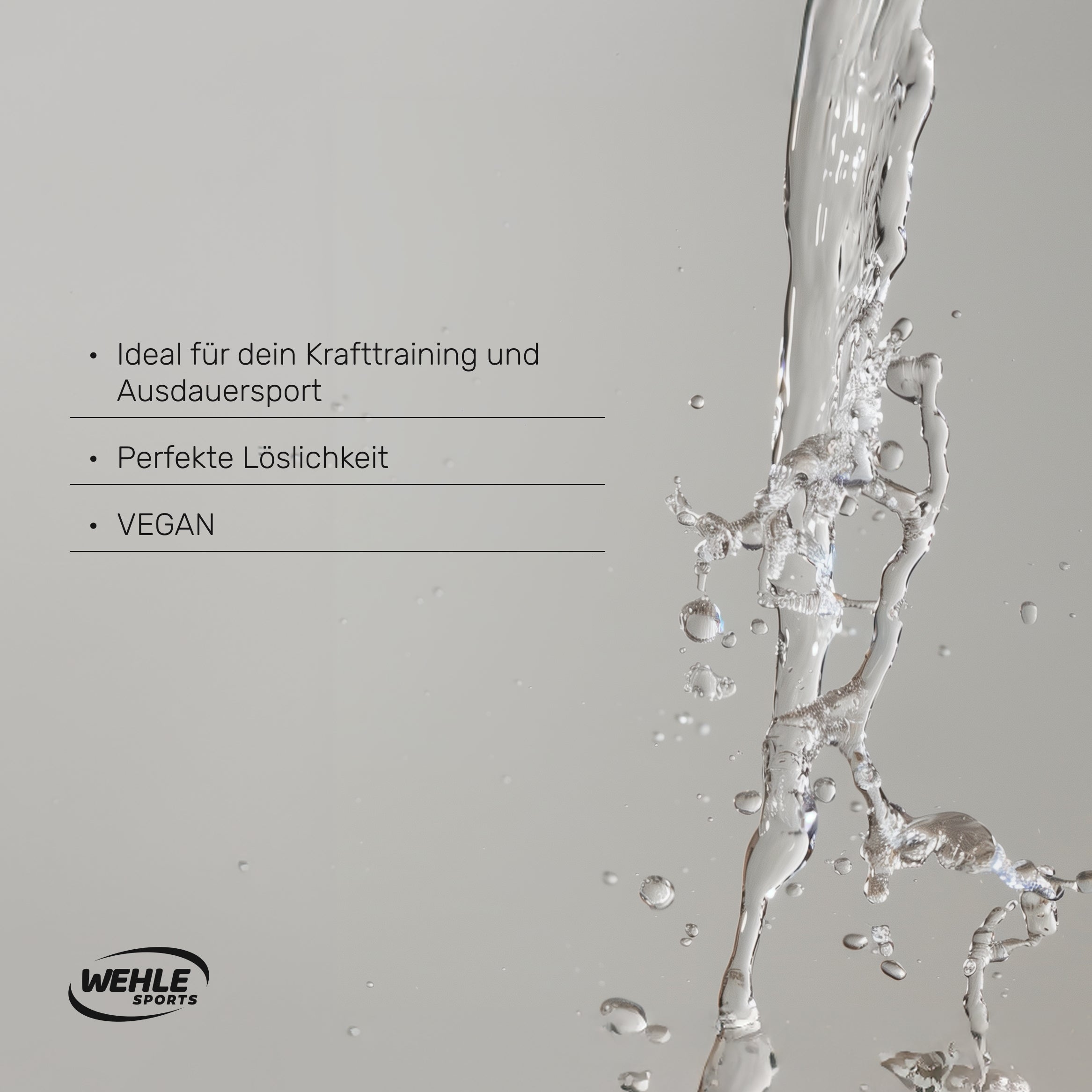 Wehle Cyclic Dextrin Kohlenhydrat Cluster Dextrin 1000g
