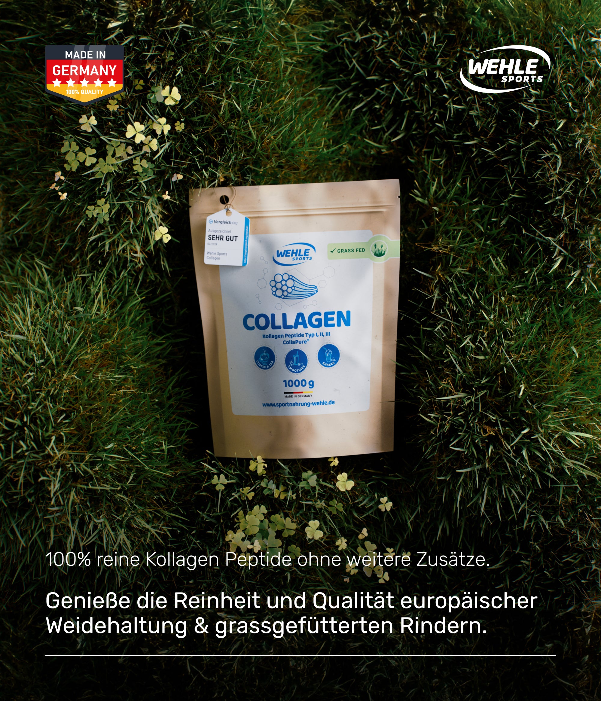 Wehle Sports Collagen Pulver Kollagen Hydrolysat Testsieger