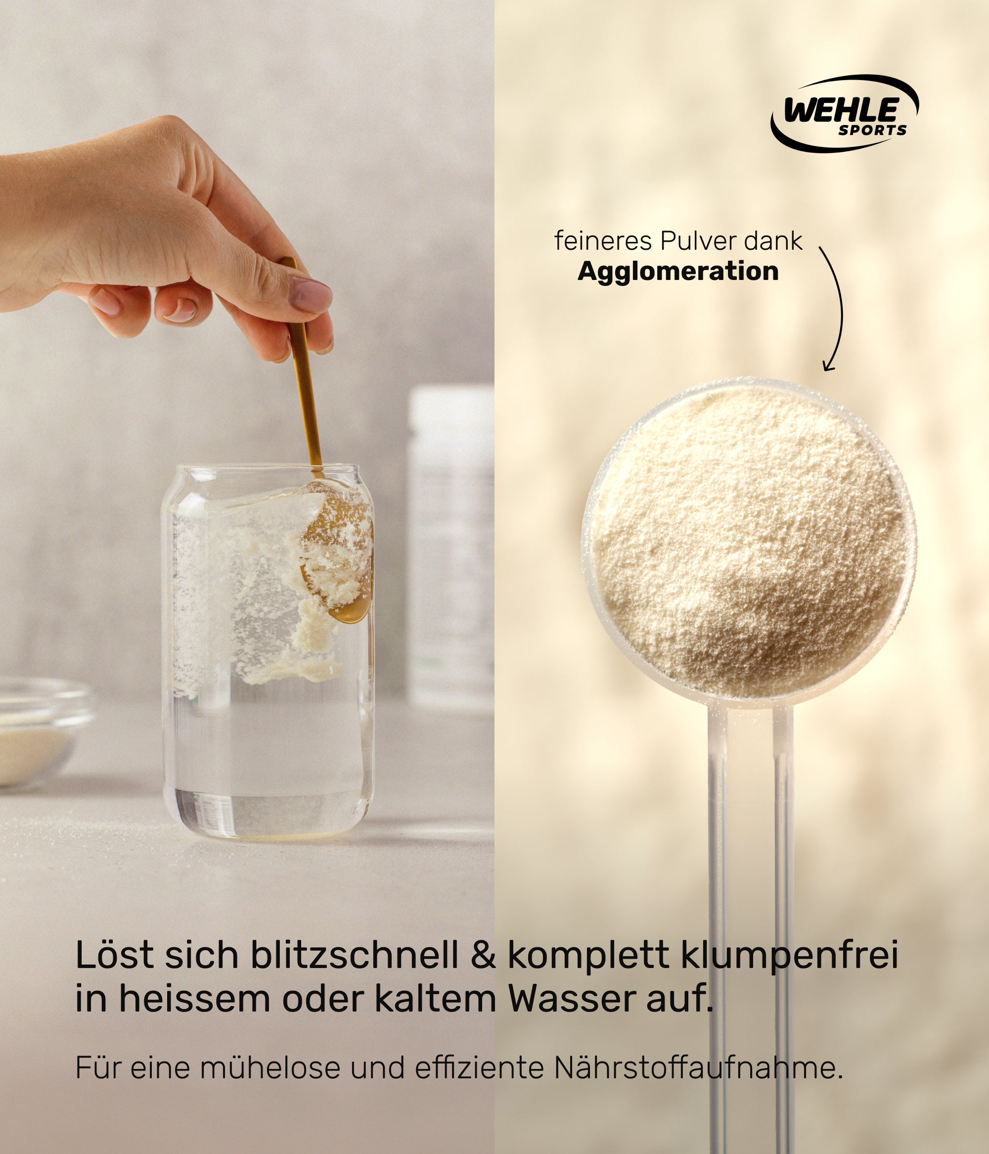 Wehle Sports Collagen Pulver Kollagen Hydrolysat Testsieger - Laborgeprüft