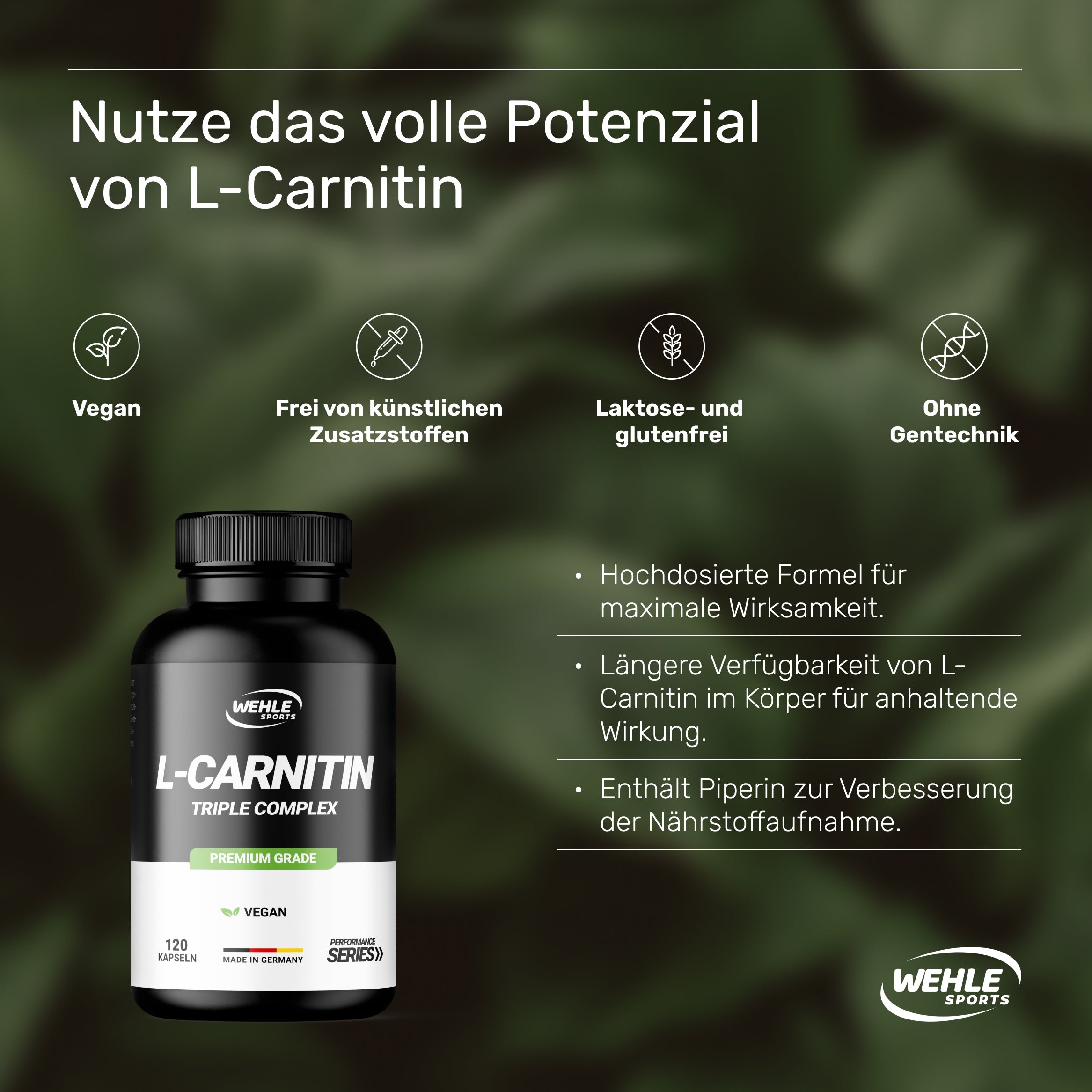 Wehle L-CARNITIN TRIPLE 3000 mg COMPLEX Acetyl Tartrat Fumarat - 120 Kapseln