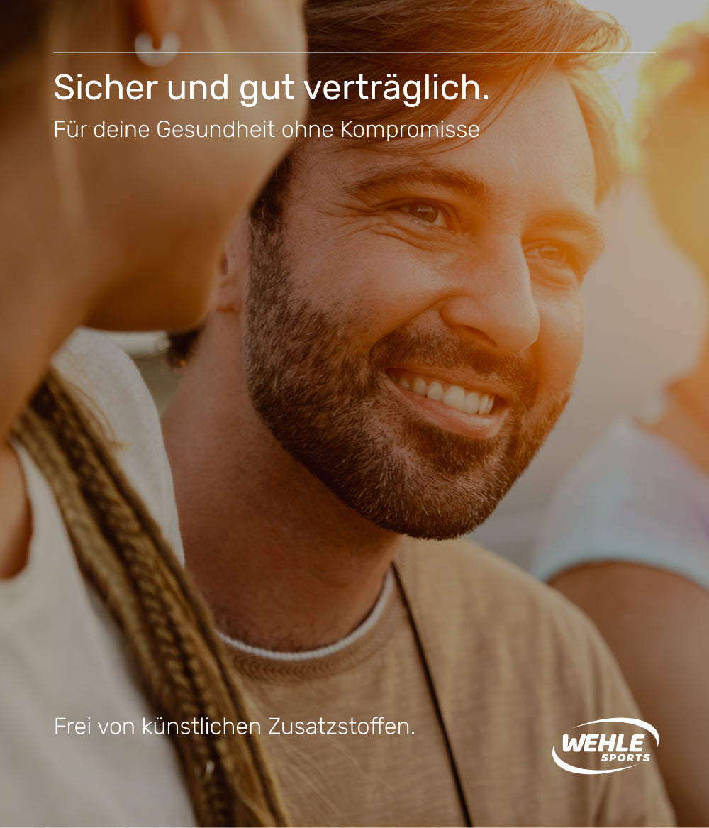 Wehle Leber Komplex mit Mariendistel - 130 Kapseln