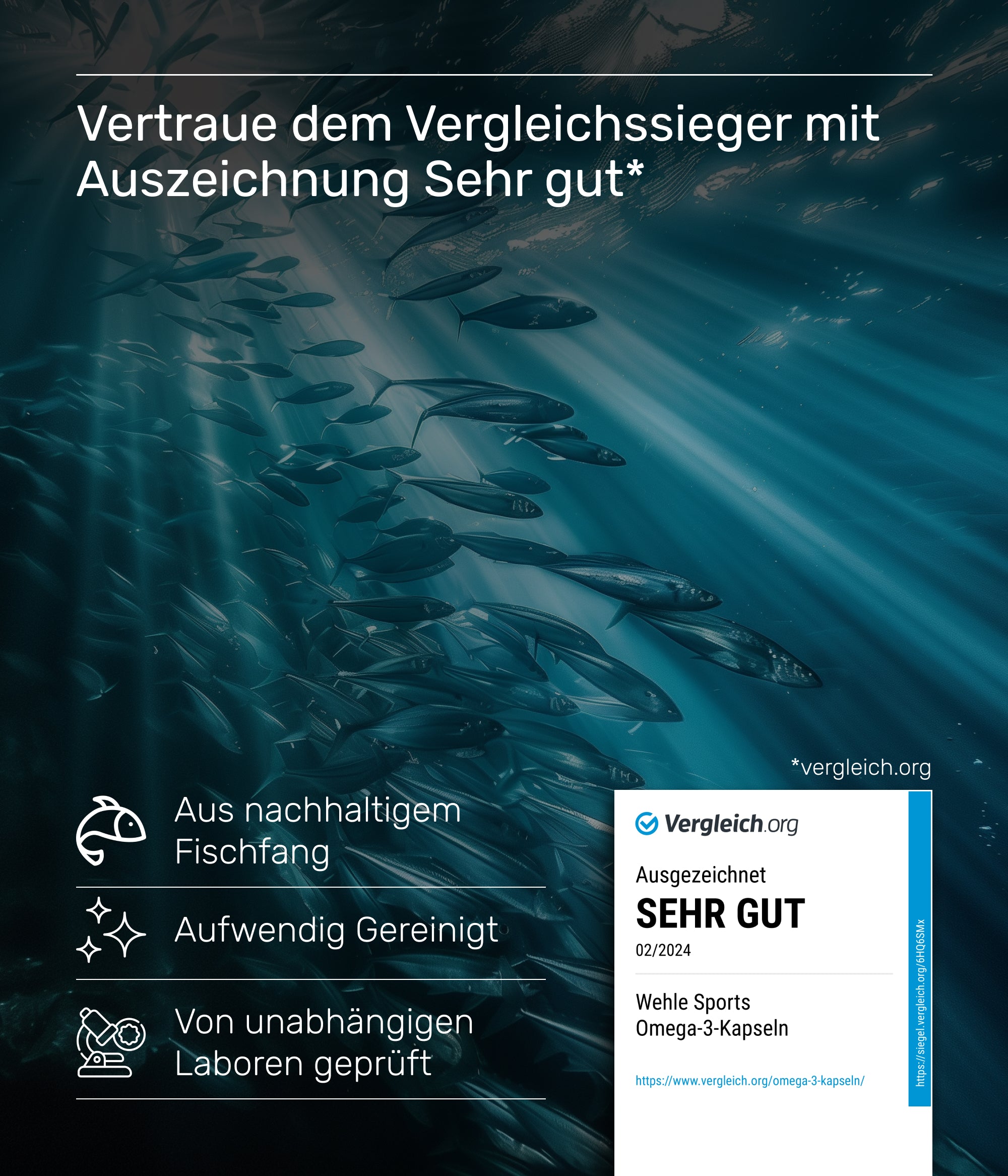 Wehle Sports Omega 3 Fischöl Tryglyceride Fish Oil Softgel 500mg EPA 250mg