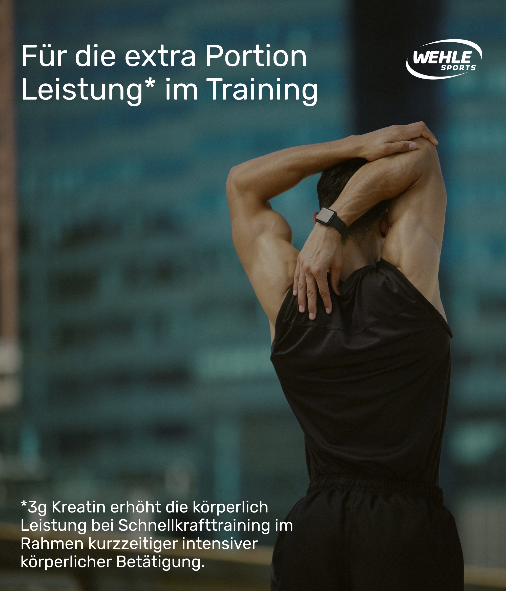 Wehle Sports Creatine Monohydrat Giga Caps - 300 Kreatin Kapseln