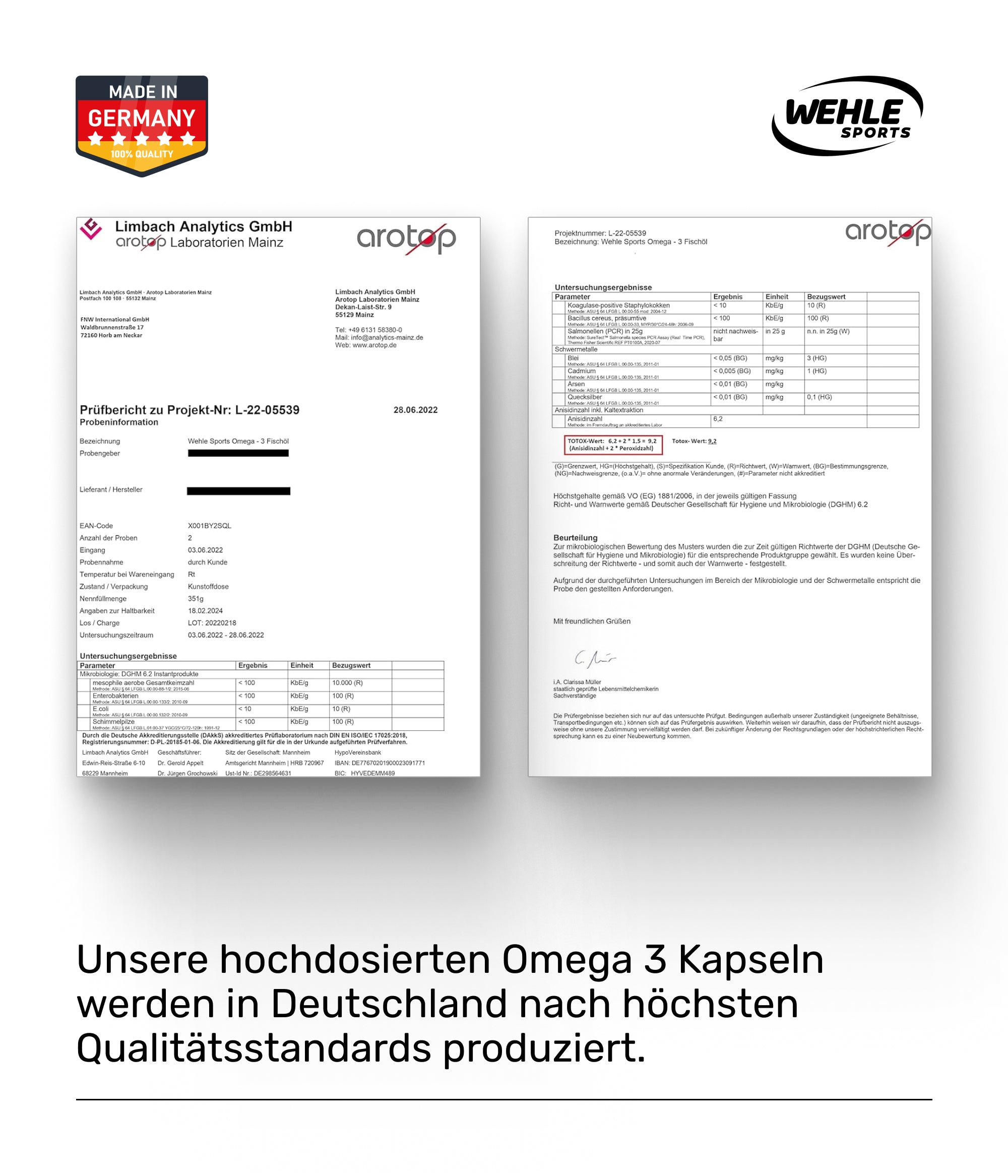 Wehle Sports Omega 3 Fischöl Tryglyceride Fish Oil Softgel 500mg EPA 250mg