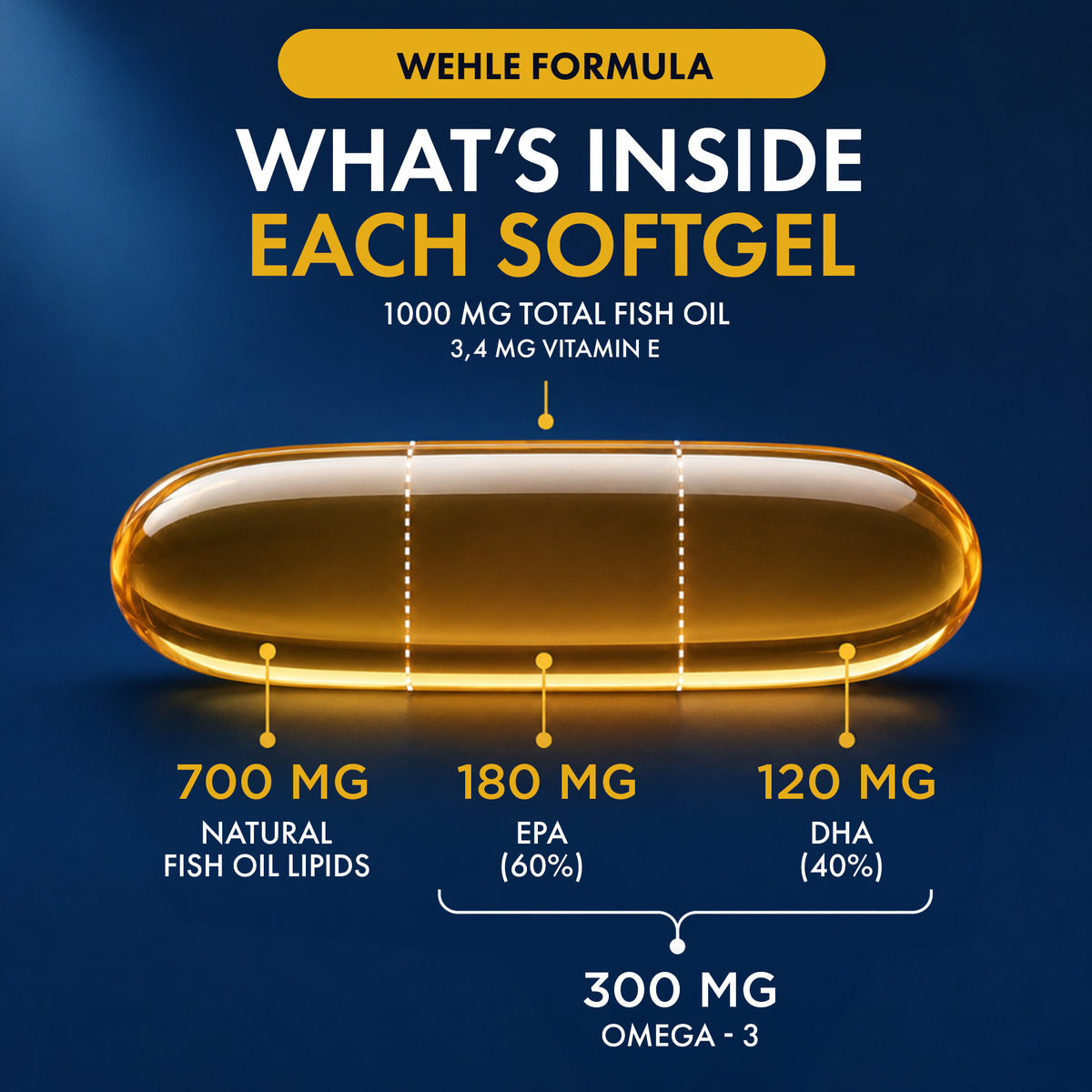 WEHLE Omega 3 Fish Oil Capsules High Strength 1000mg, 400 Softgels