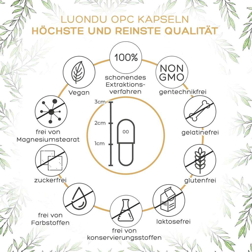 Luondu OPC Traubenkernextrakt + Vitamin C - 240 Kapseln