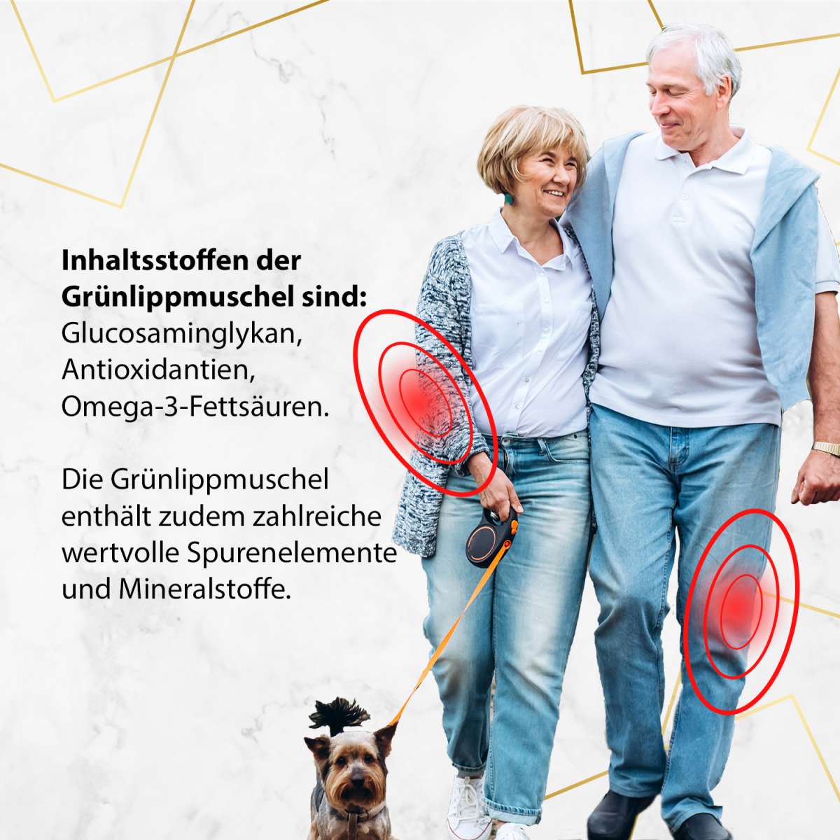 Grünlippmuschel 500mg Grünlippmuschelextrakt - 300 Kapseln