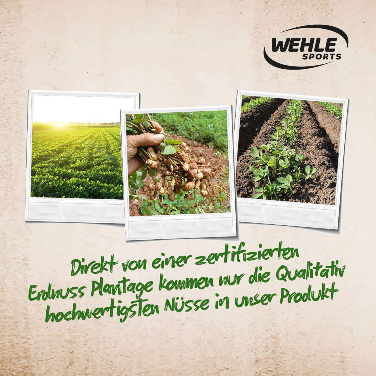 High Protein Erdnussbutter ohne Zuckerzusatz