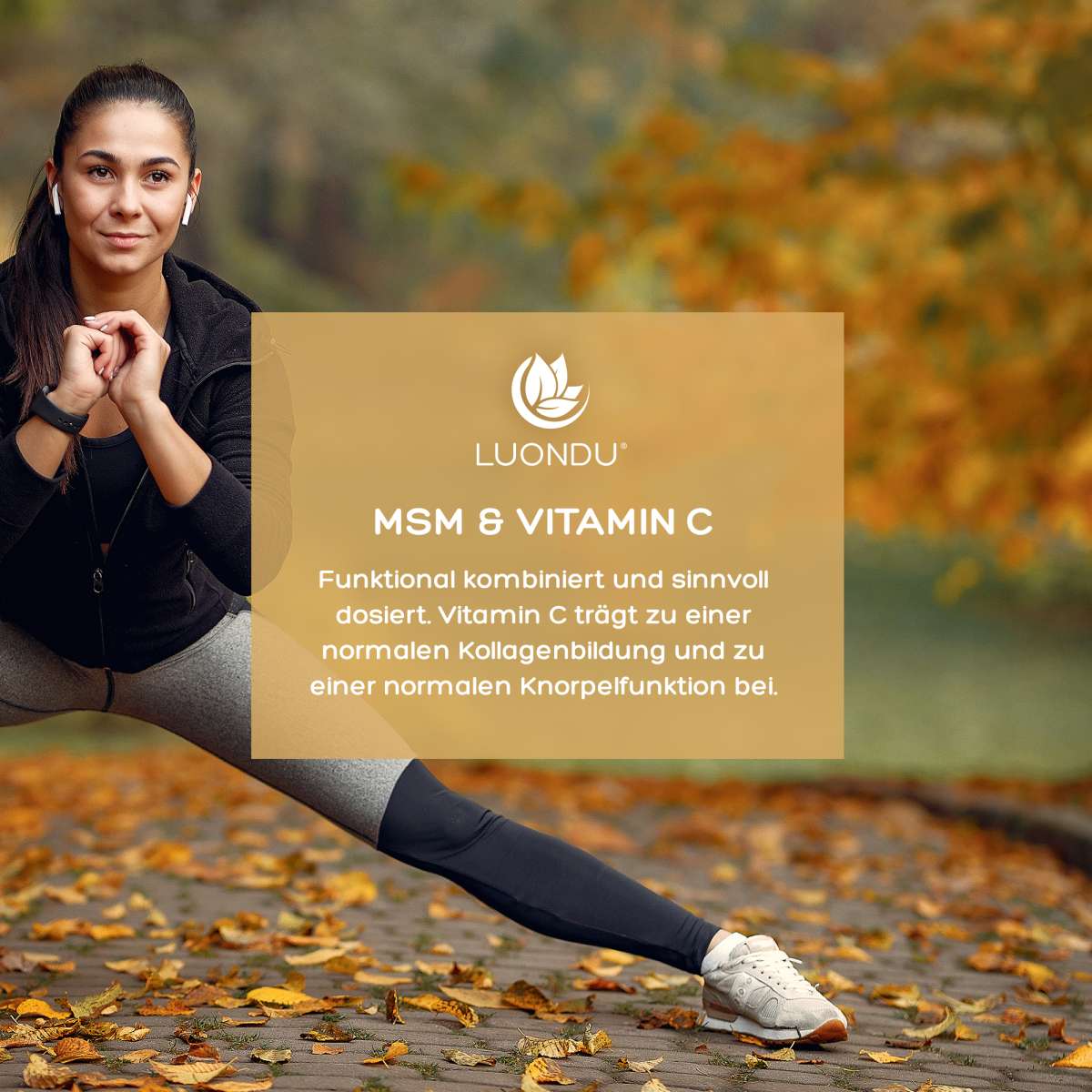 Luondu MSM Tabletten organischer Schwefel + Vitamin C - 365 Tabletten