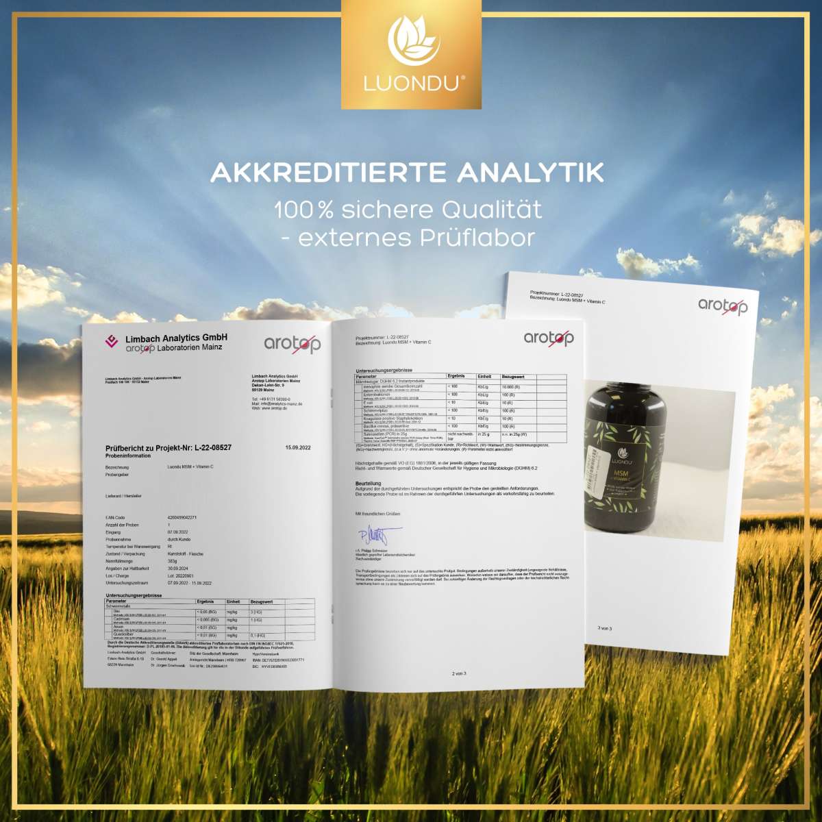 Luondu MSM Tabletten organischer Schwefel + Vitamin C - 365 Tabletten