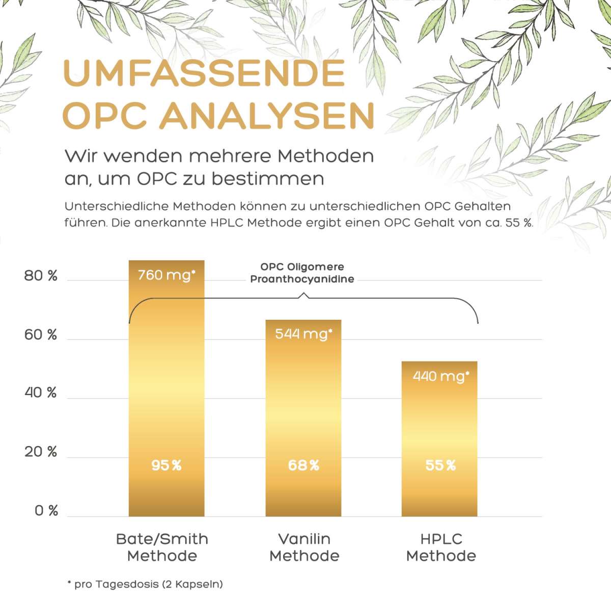 Luondu OPC Traubenkernextrakt + Vitamin C - 240 Kapseln