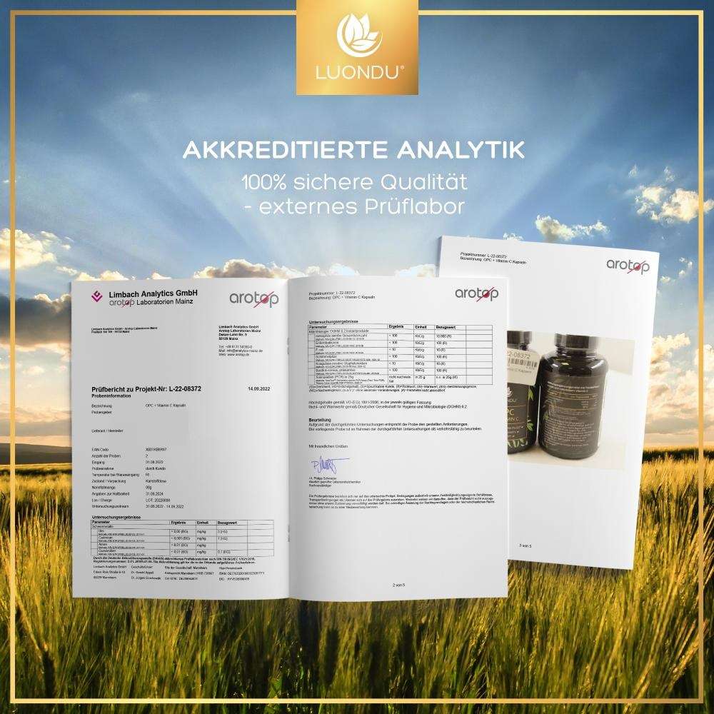 Luondu OPC Traubenkernextrakt + Vitamin C - 240 Kapseln