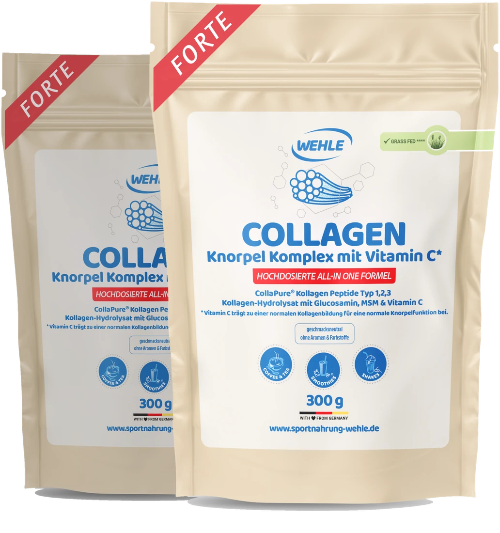 Zwei Beutel Wehle Collagen Knorpel Komplex Forte, je 300 g