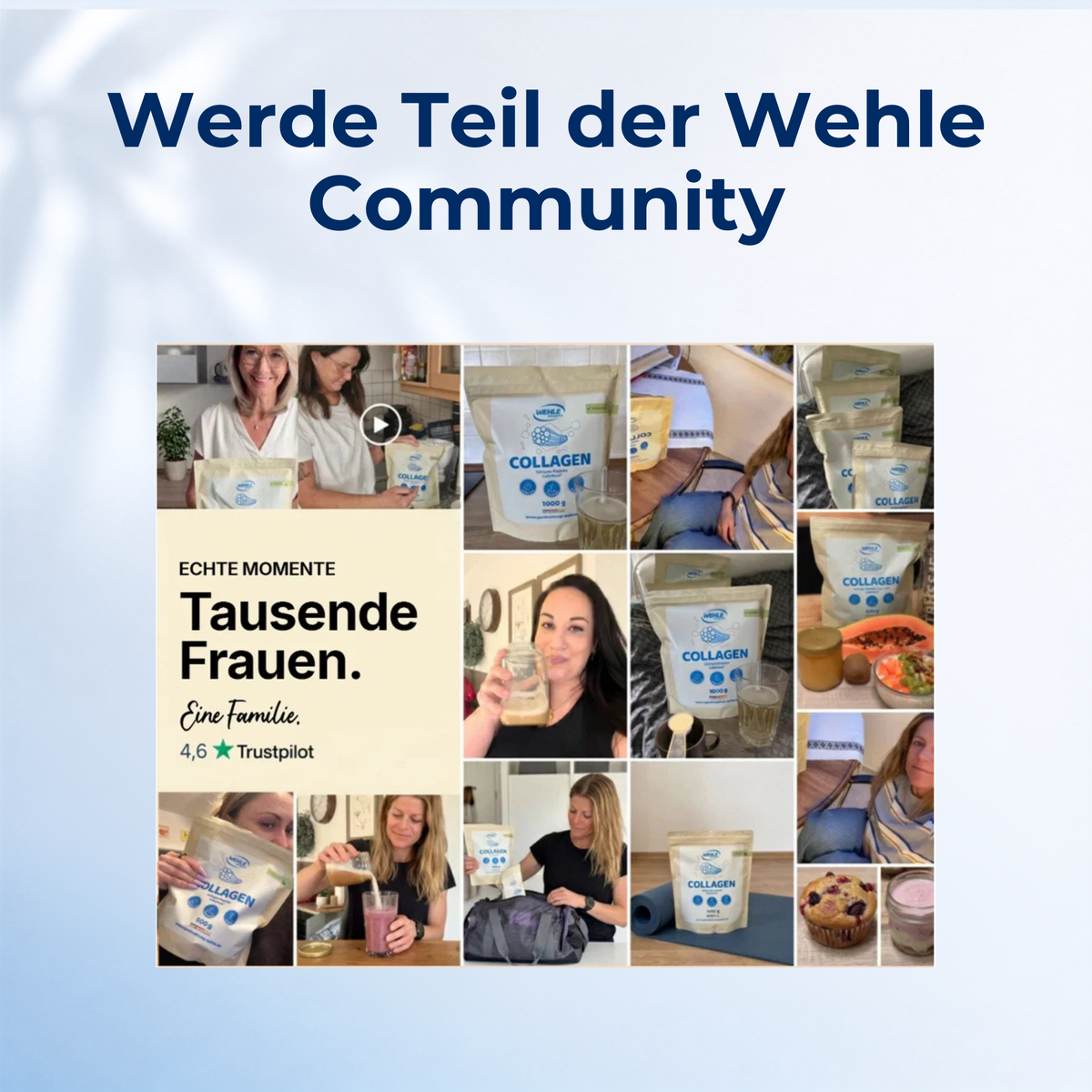 Kollagen Pulver – Wehle Collagen Matrix 360° mit Kollagen Typ I, II & III