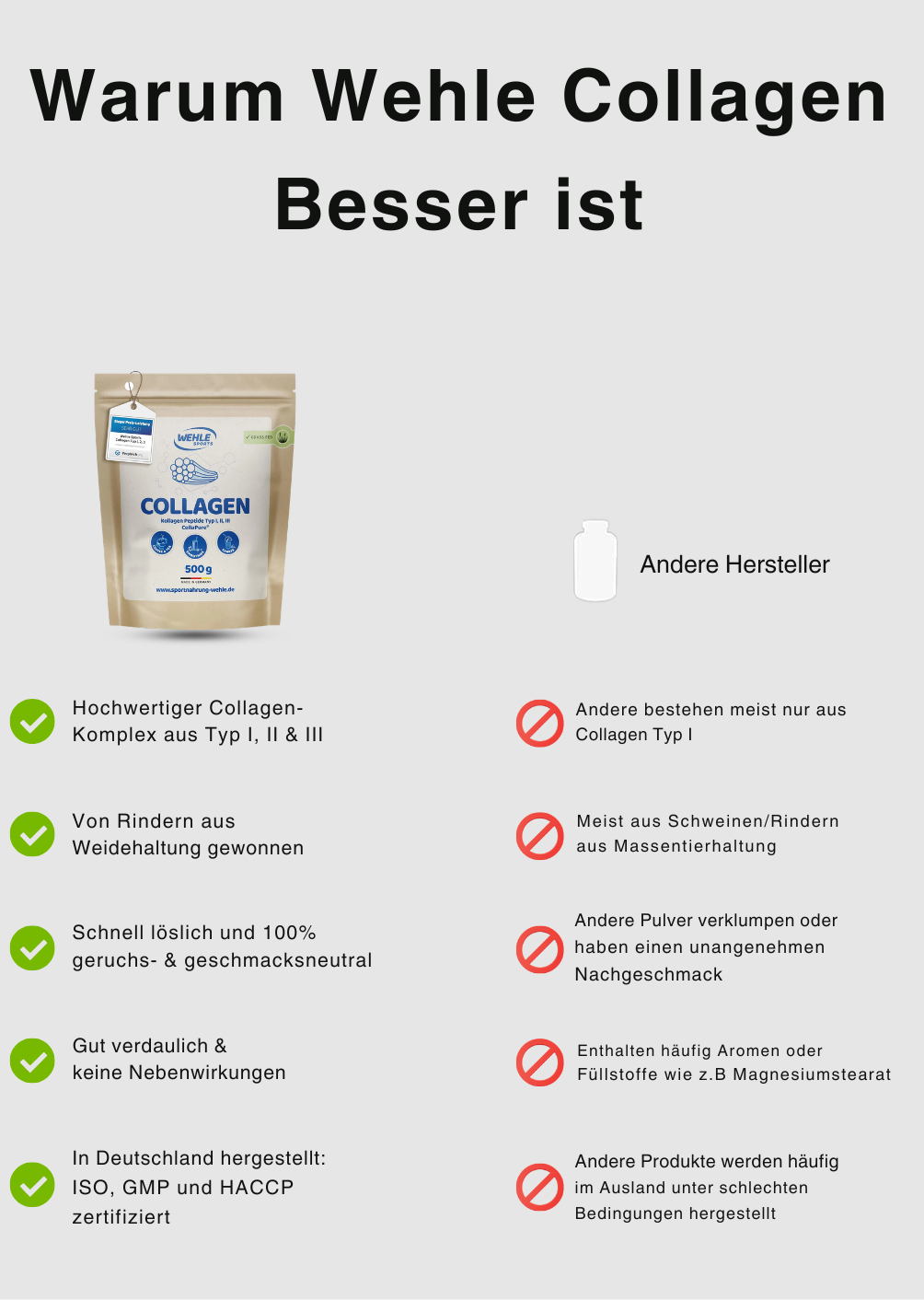 Wehle Collagen Matrix 360°