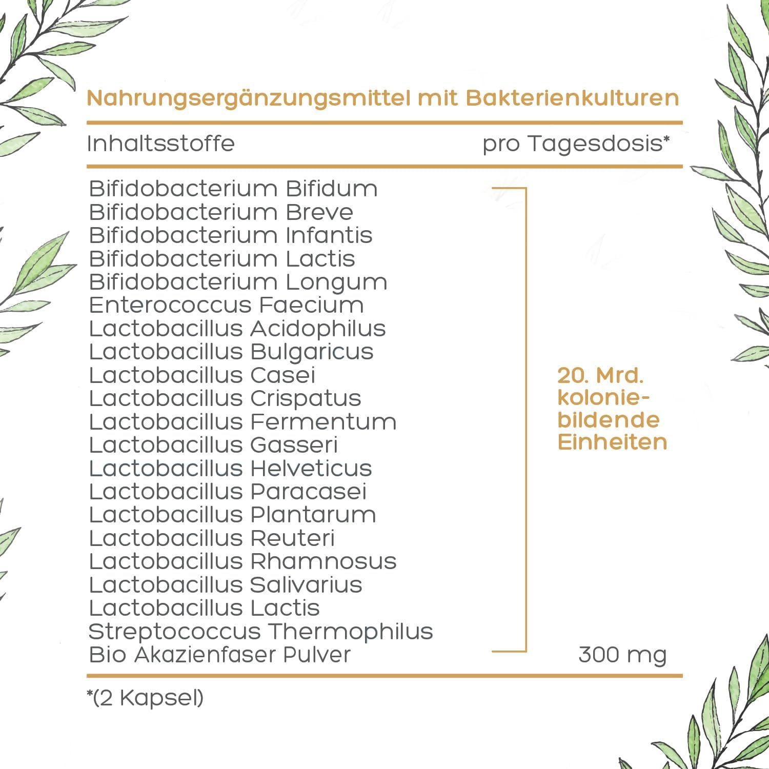 Luondu Lubiotic Probiotika Darmflora Kulturen - 180 Kapseln