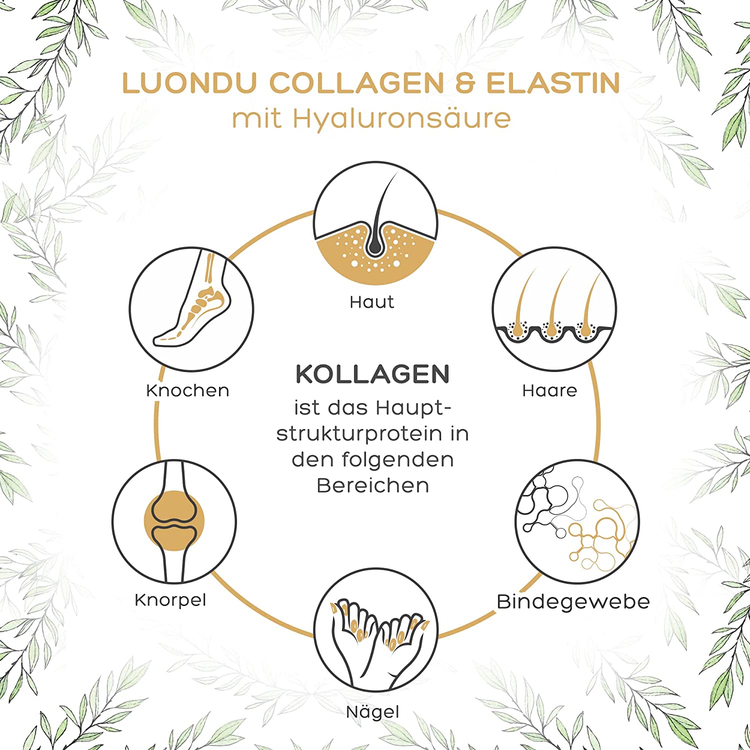 Luondu Kollagen + Elastin, Hyaluron, Vitamin C Pulver