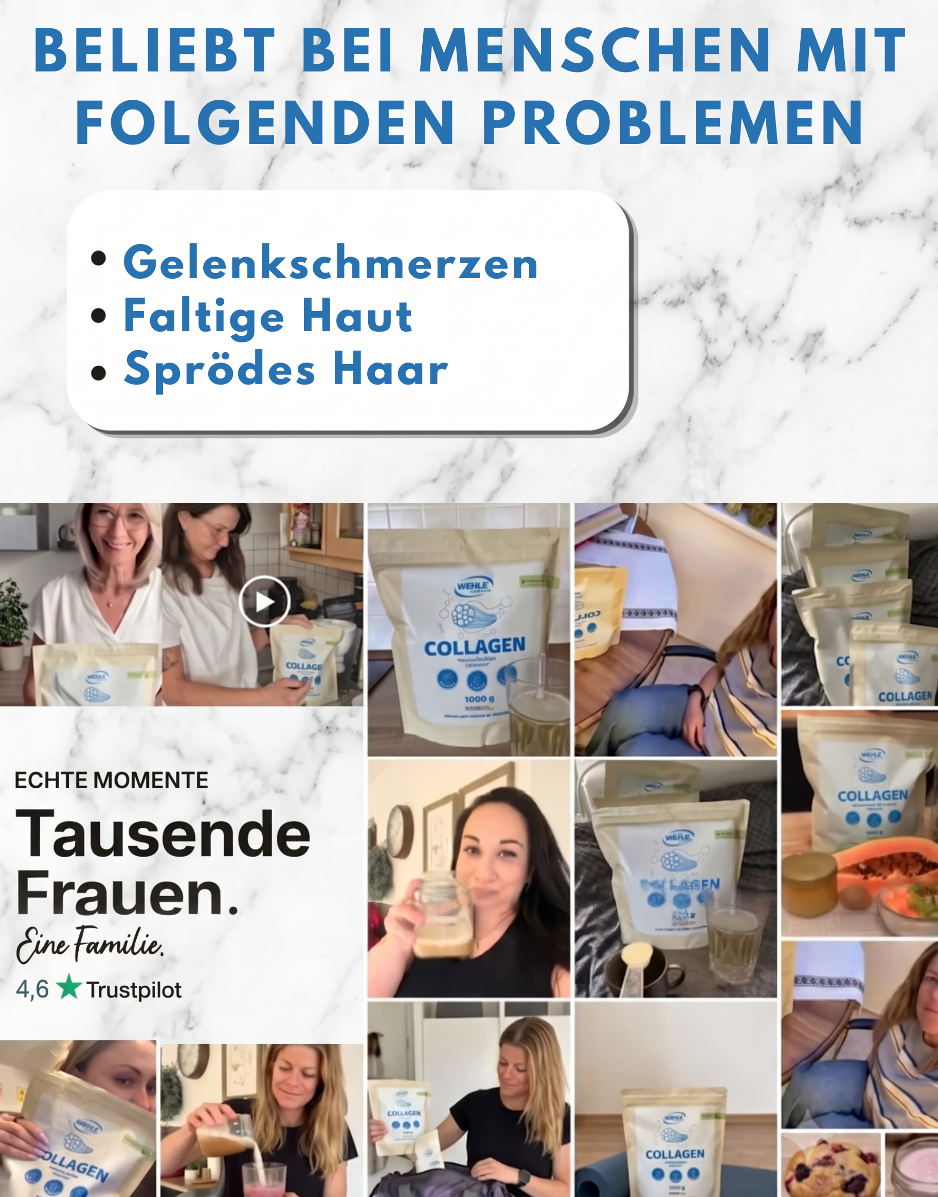 Collagen Knorpel Komplex - Neuheit
