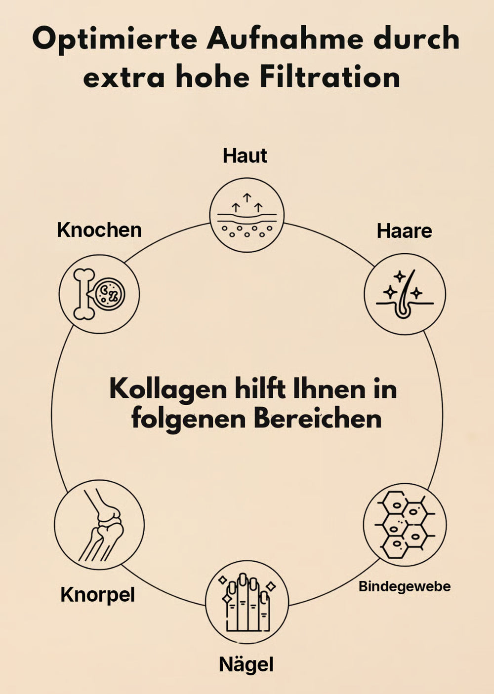 Wehle Kollagen