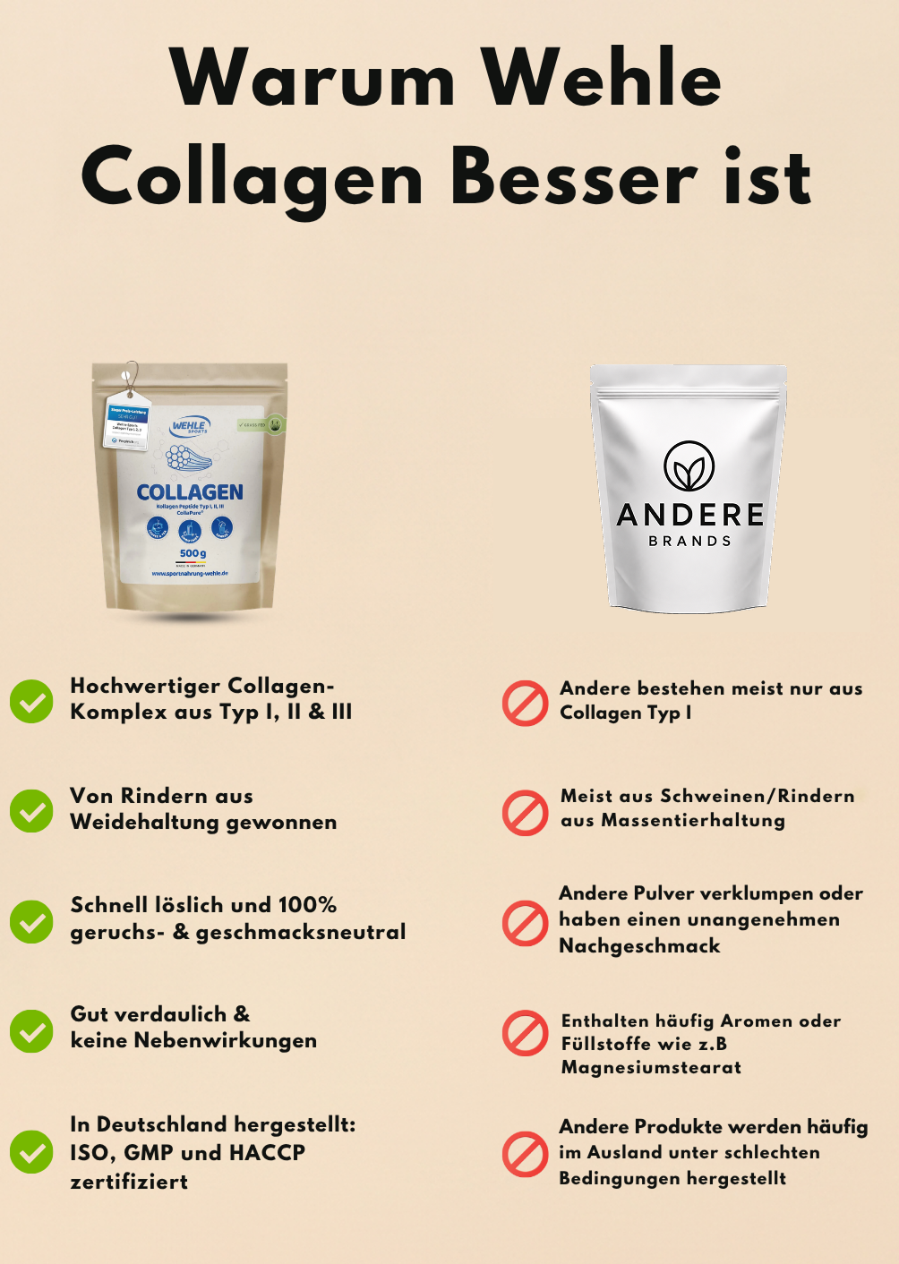 Kollagen Pulver – Wehle Collagen Matrix 360° mit Kollagen Typ I, II & III