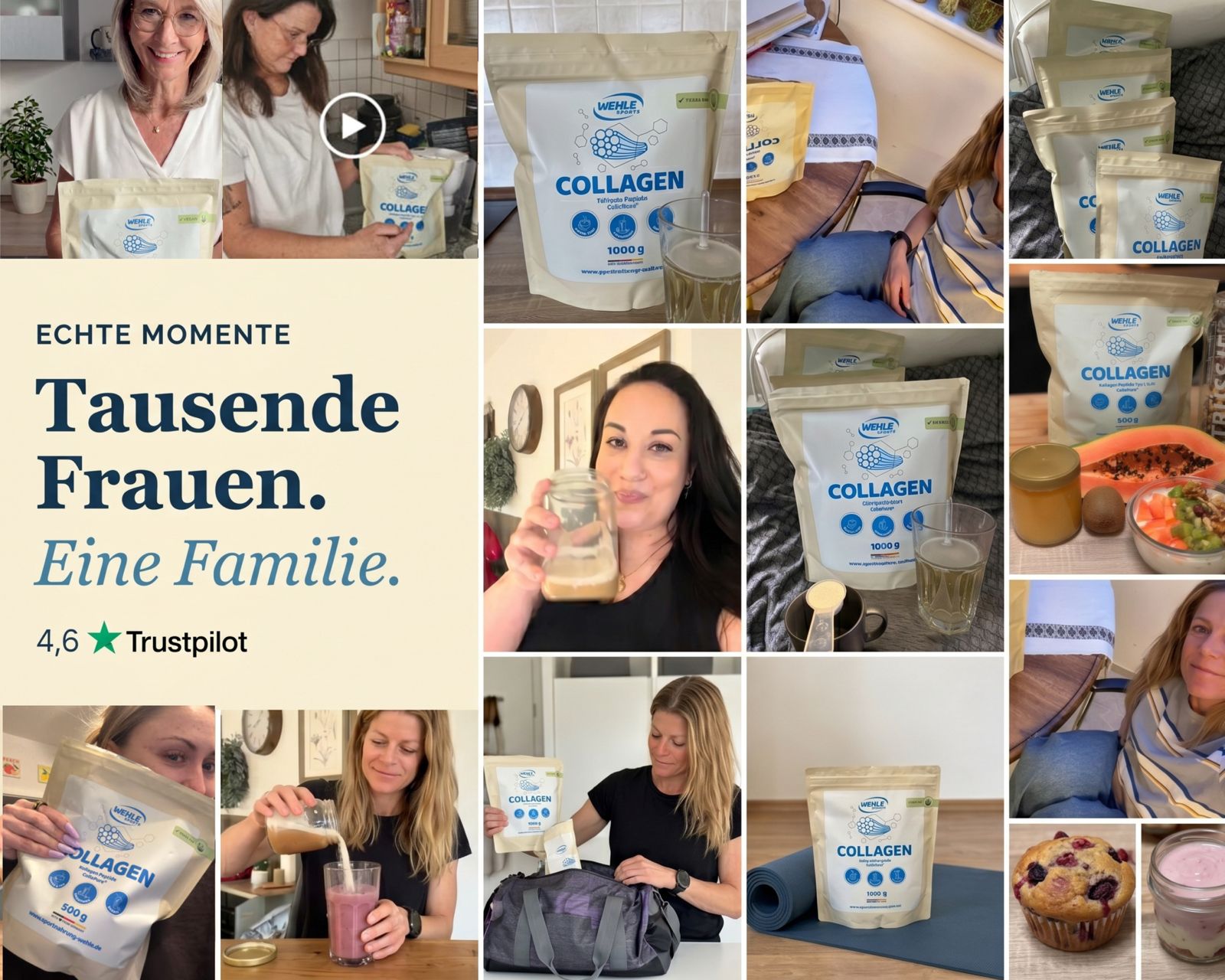Wehle Collagen Matrix 360°