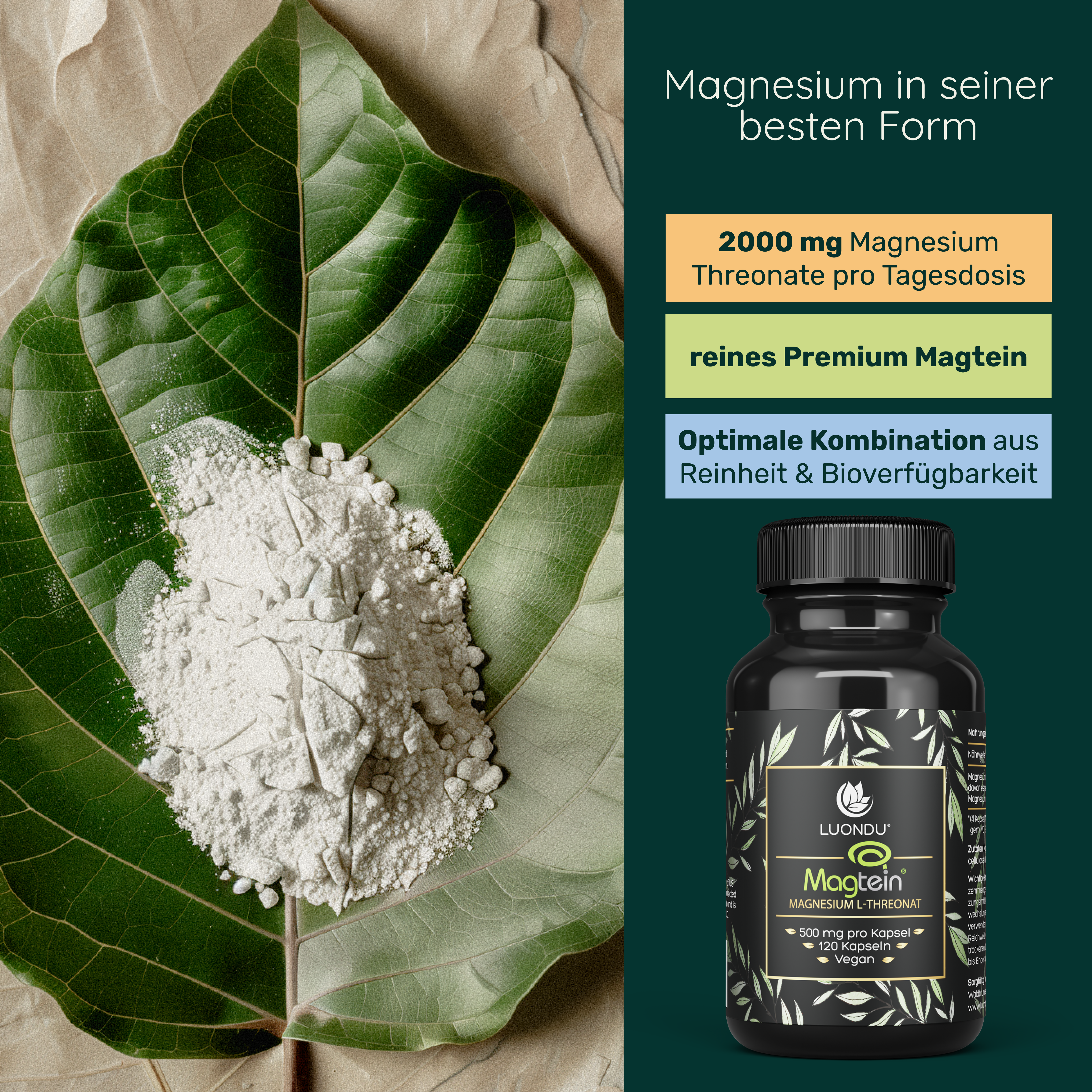 Luondu Magtein® Magnesium L-Threonate - 120 Kapseln