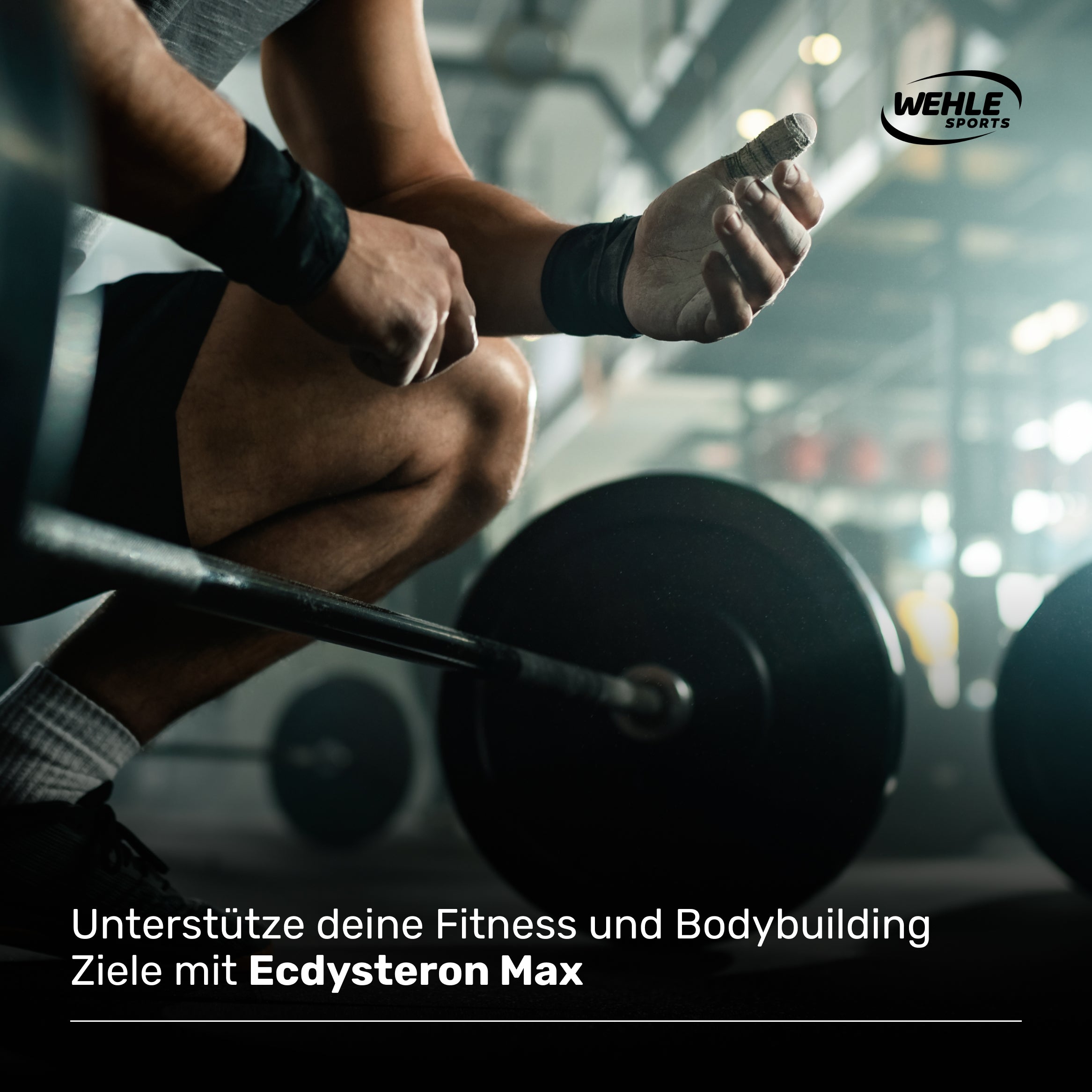 Wehle Ecdysteron Max T-Booster + Leucin + Piperin a 760mg - 60 Kapseln