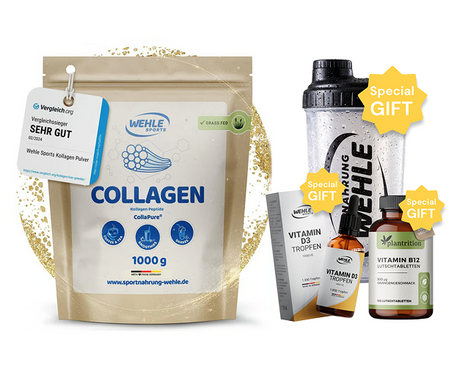 Kollagen Pulver – Wehle Collagen Matrix 360° mit Kollagen Typ I, II & III