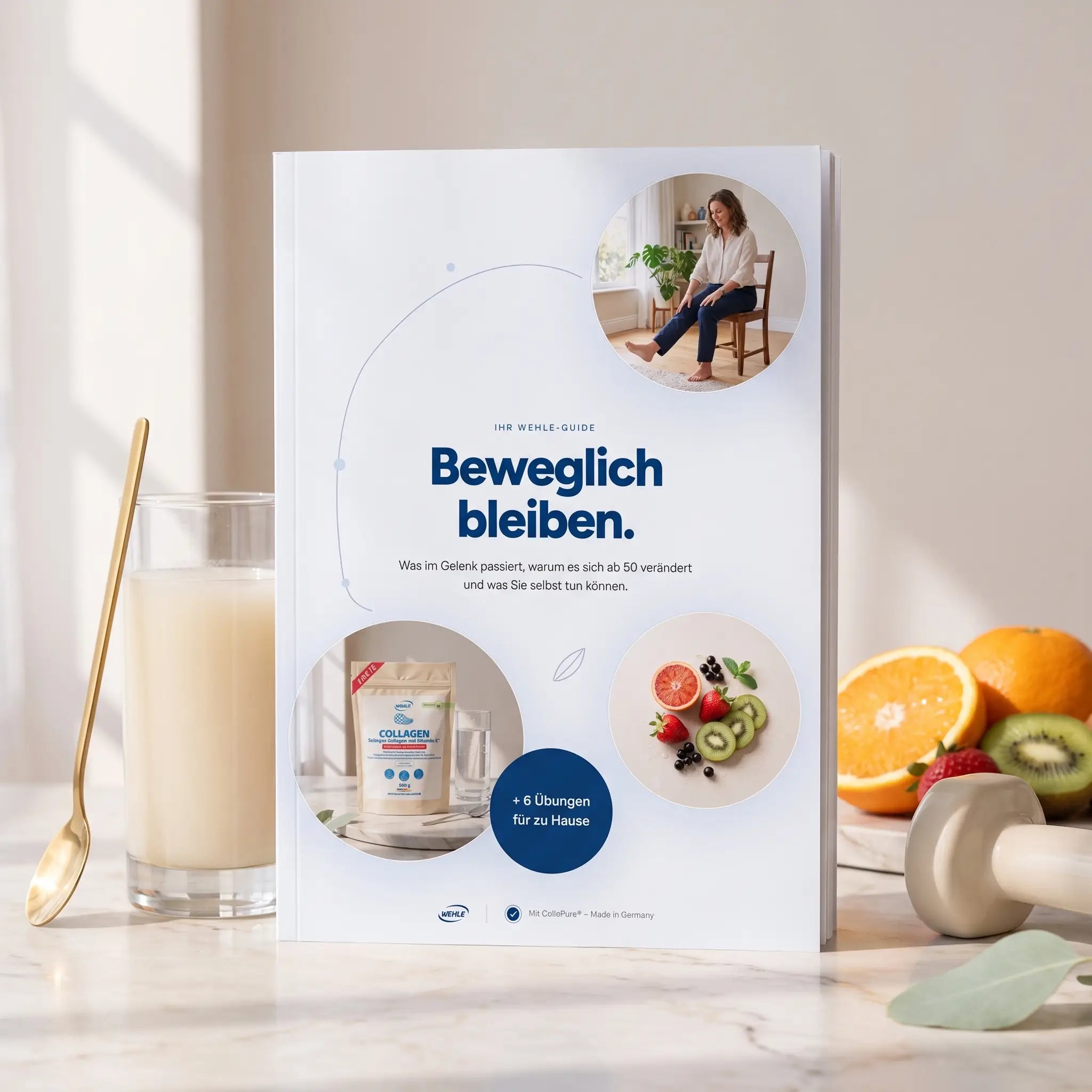 Knorpel Guide 3.0