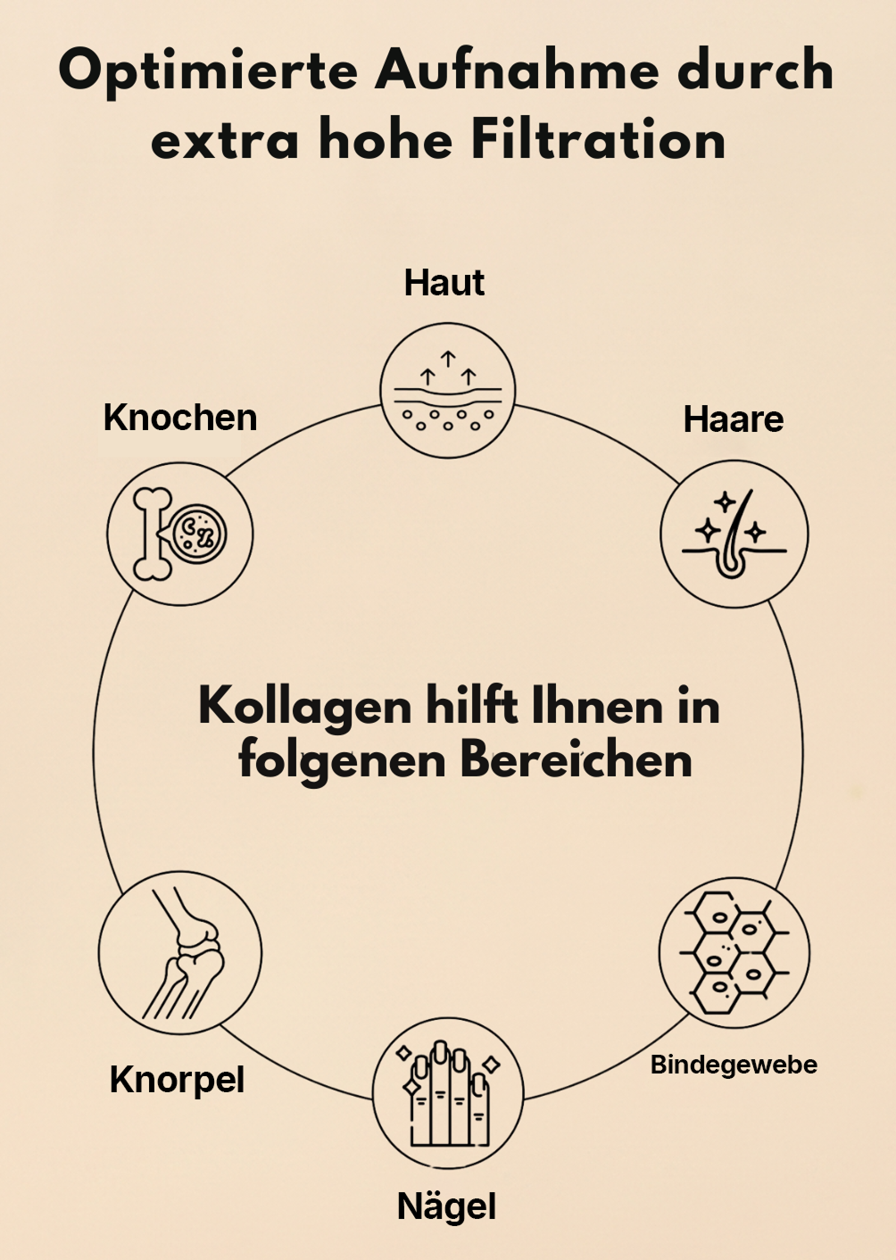 Kollagen Pulver – Wehle Collagen Matrix 360° mit Kollagen Typ I, II & III