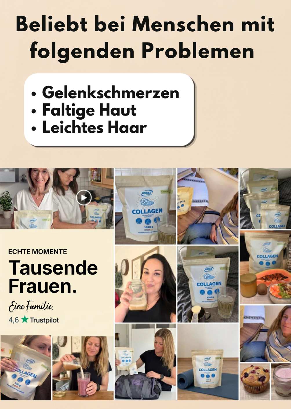 Kollagen Pulver – Wehle Collagen Matrix 360° mit Kollagen Typ I, II & III