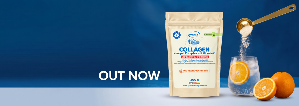 Collagen Knorpel Komplex Orange – Out now