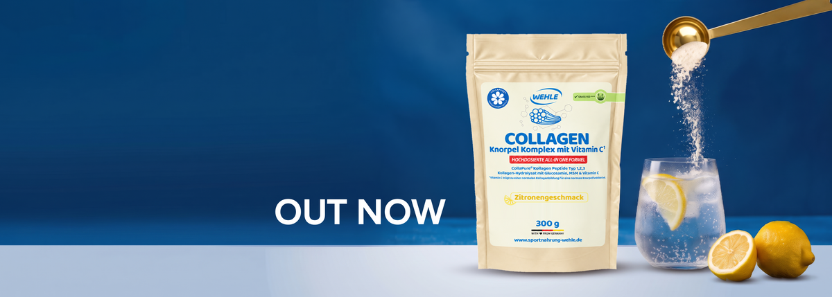 Collagen Knorpel Komplex Zitrone – Out now