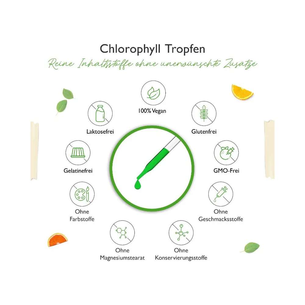 Vit4ever Chlorophyll Tropfen aus Alfalfa Extrakt 3000 Tropfen 100ml