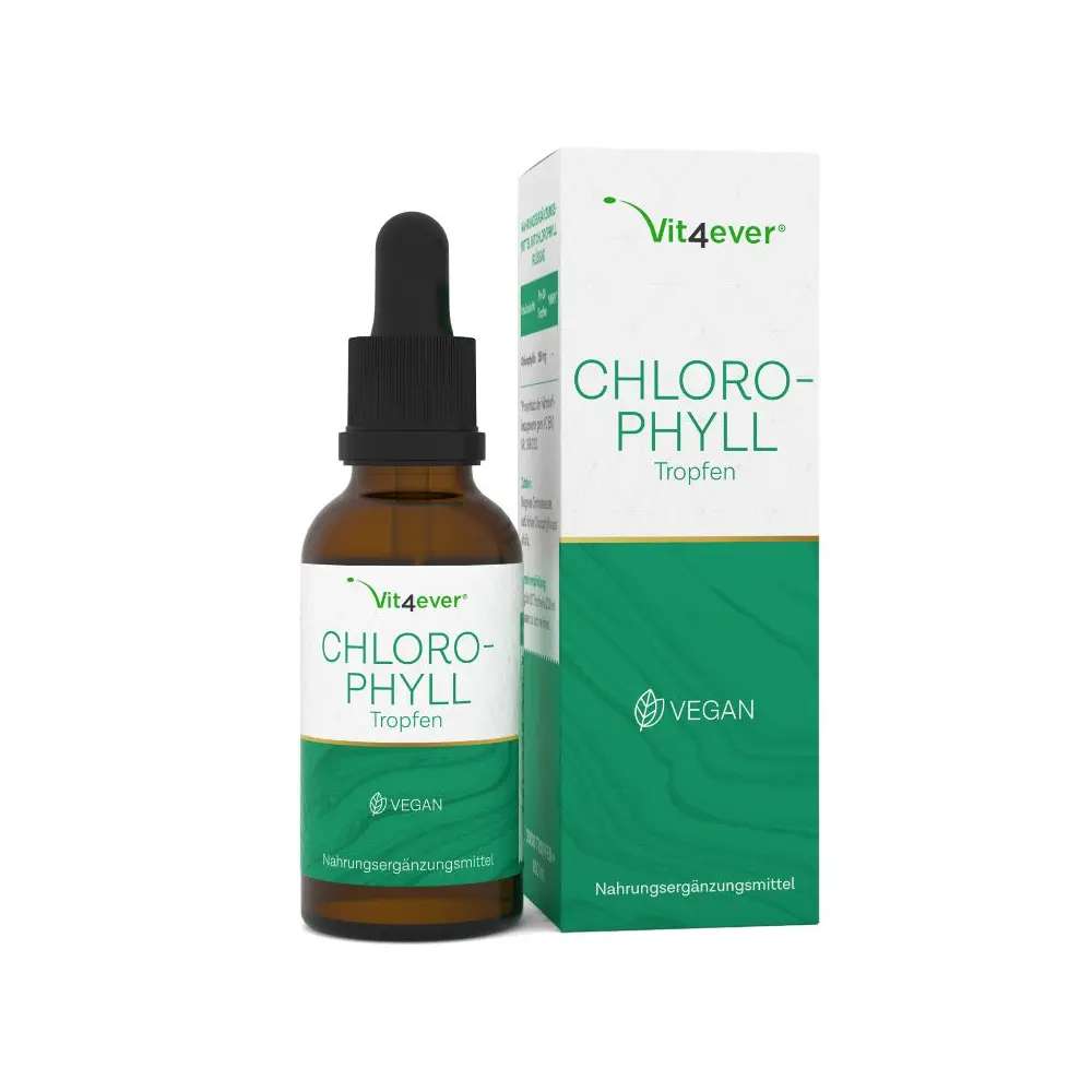 Vit4ever Chlorophyll Tropfen aus Alfalfa Extrakt 3000 Tropfen 100ml