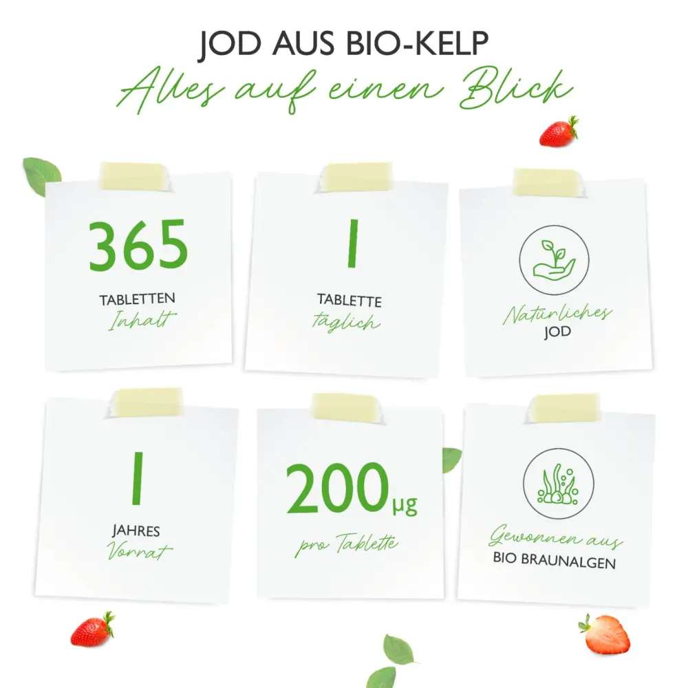 Vit4ever Bio Kelp Extrakt (Natürliches Jod) - 365 Tabletten