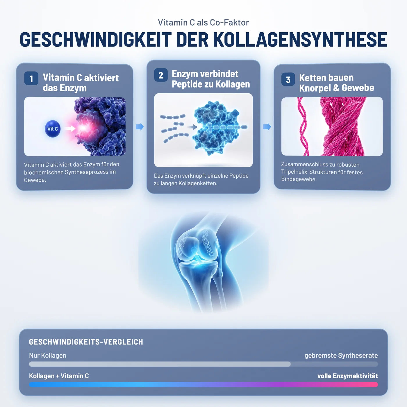 Kollagen funktioniert. Vitamin C lässt es deutlich schneller wirken.