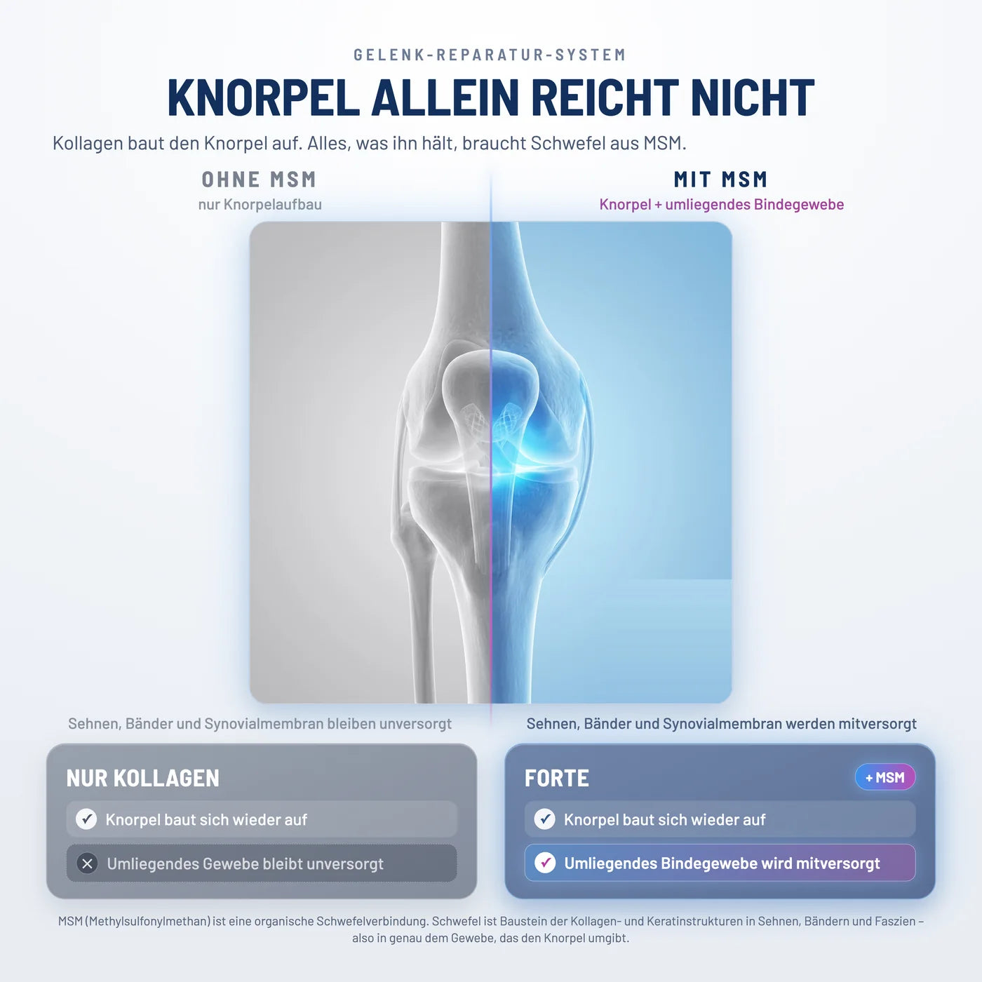 Kollagen baut die Struktur wieder auf. MSM repariert das Gewebe darum herum.