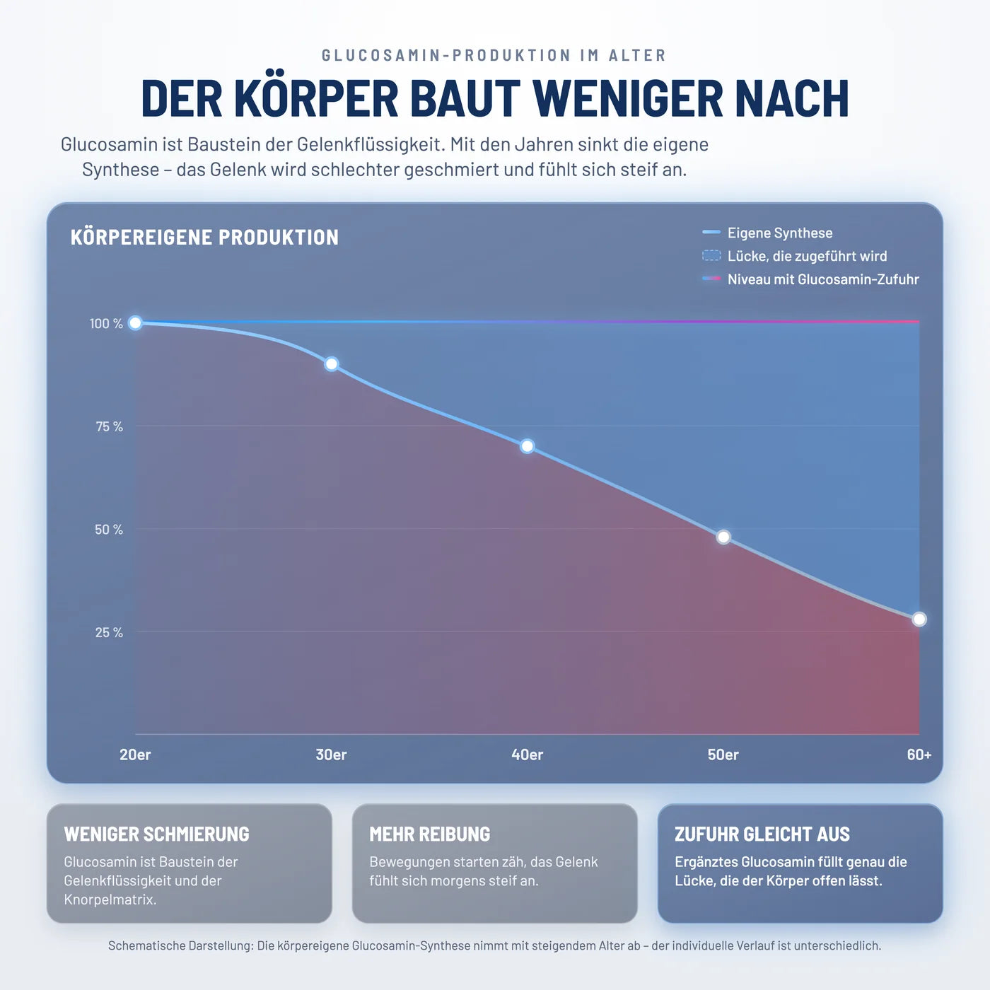 Ihre Gelenke müssen nicht nur wiederaufgebaut werden. Sie benötigen tägliche Schmierung. Genau das leistet Glucosamin.